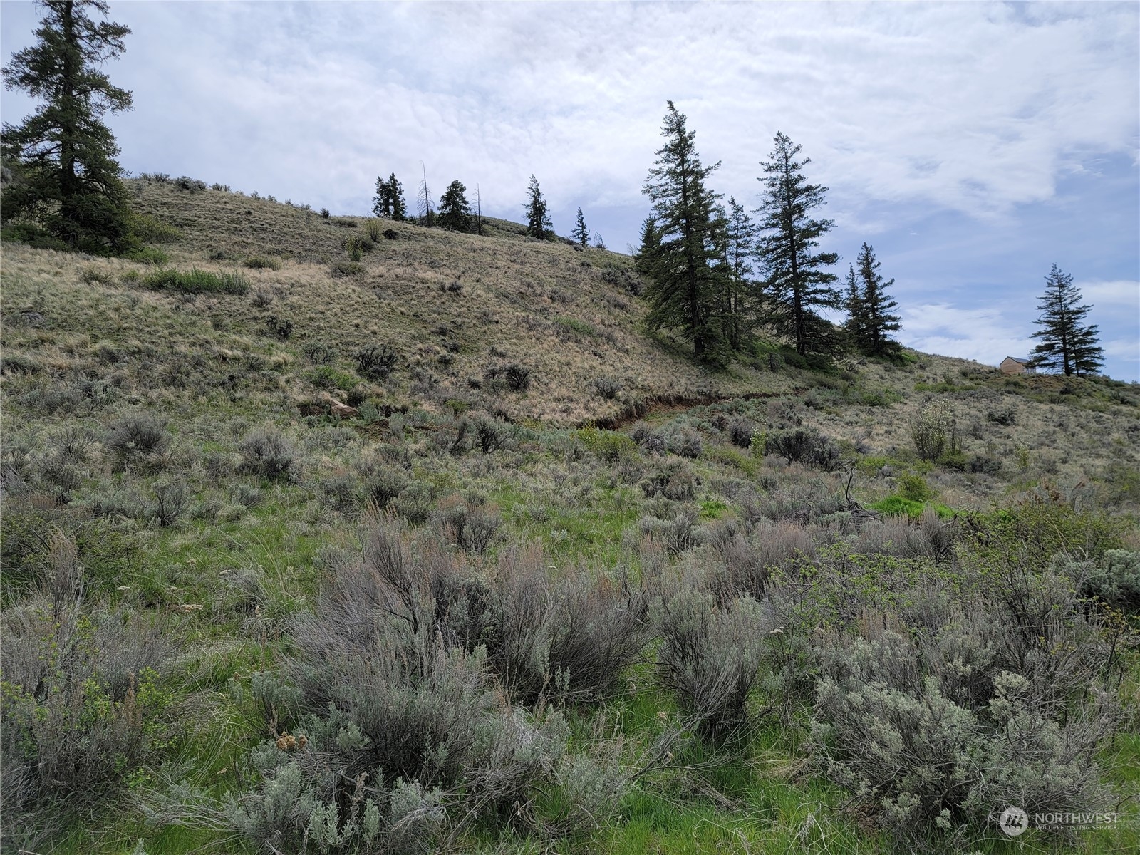 98 Tyee View Loop Rd Property Photo 4