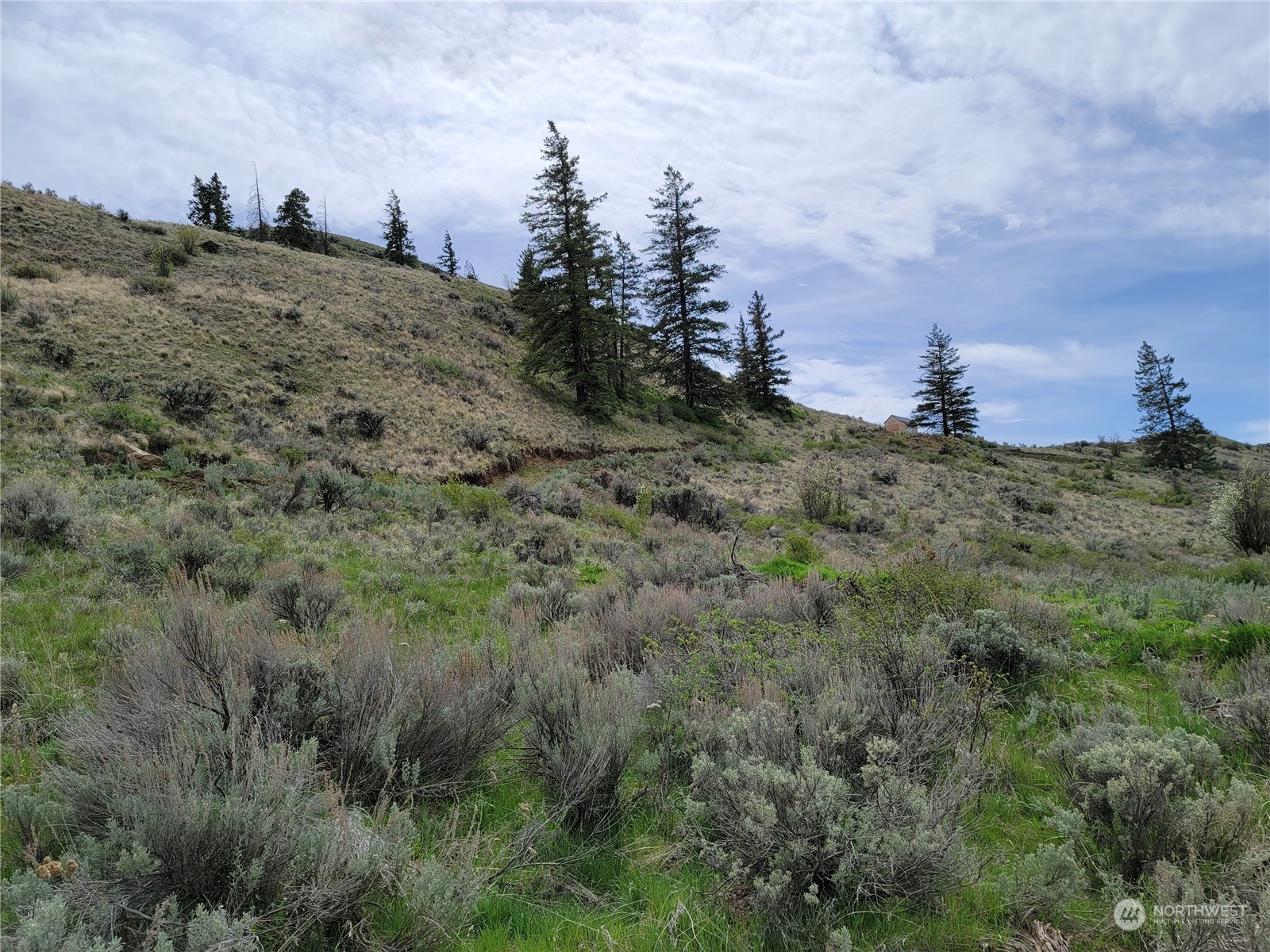 98 Tyee View Loop Rd Property Photo 5