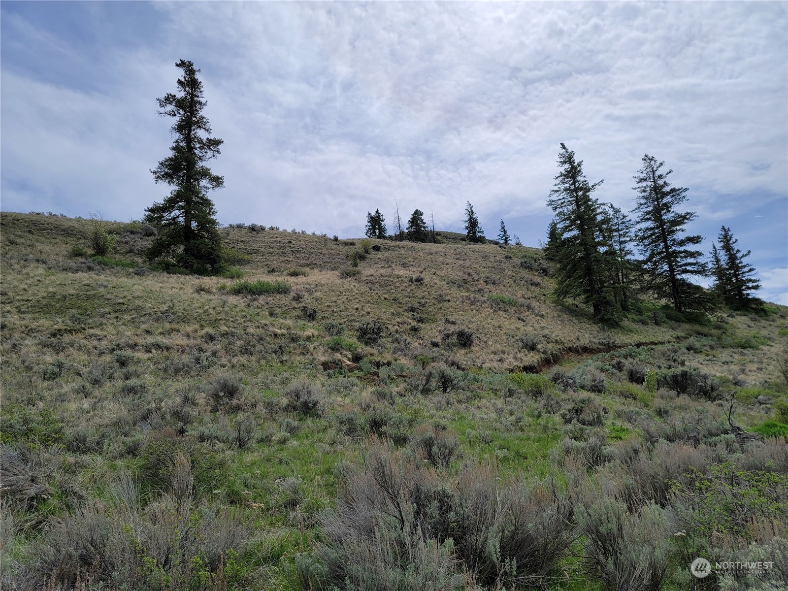 98 Tyee View Loop Rd Property Photo 6