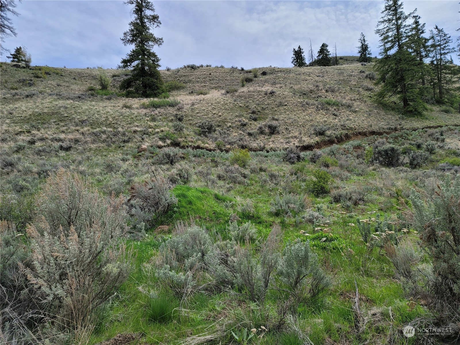 98 Tyee View Loop Rd Property Photo 7