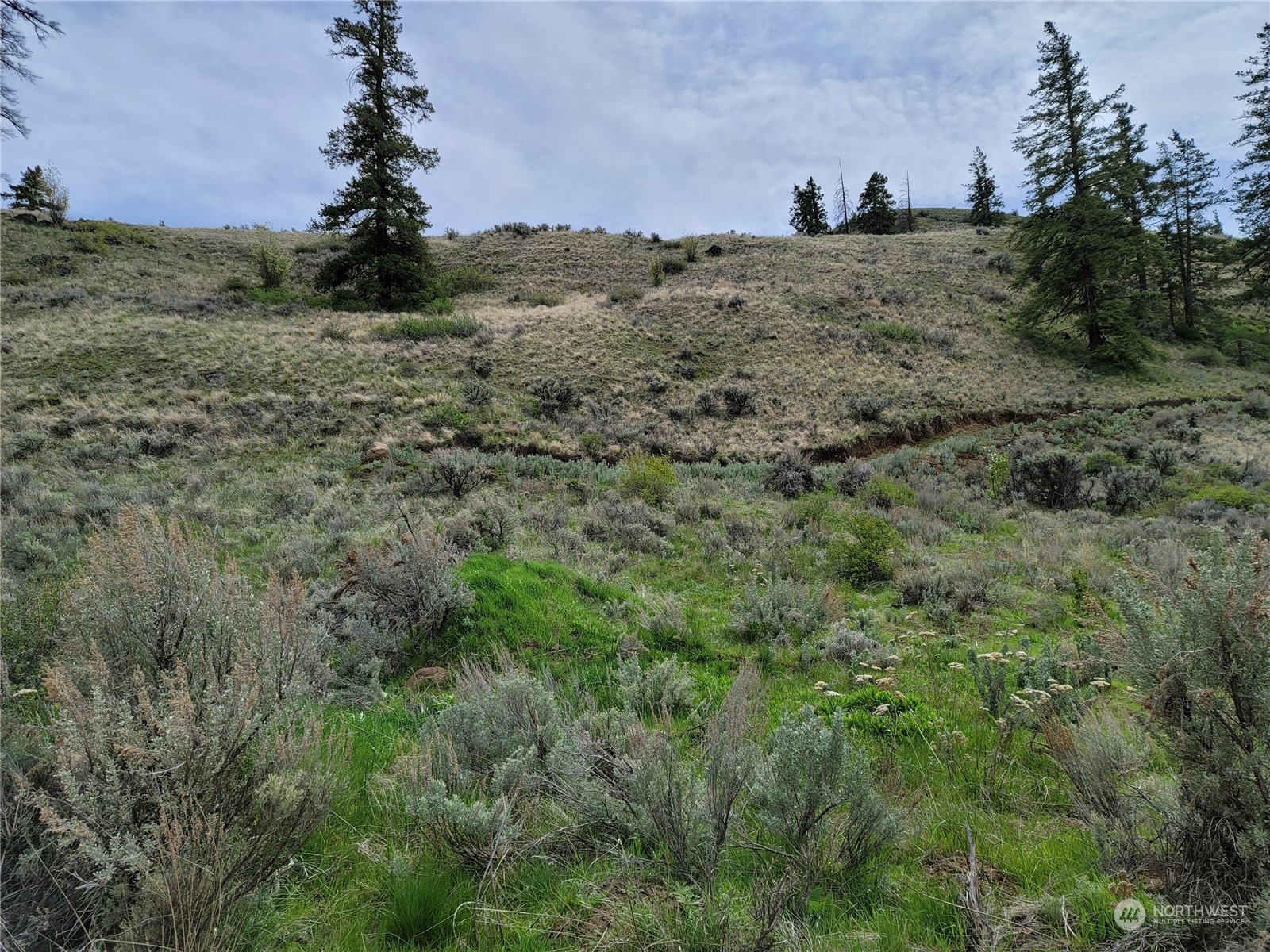 98 Tyee View Loop Rd Property Photo 8