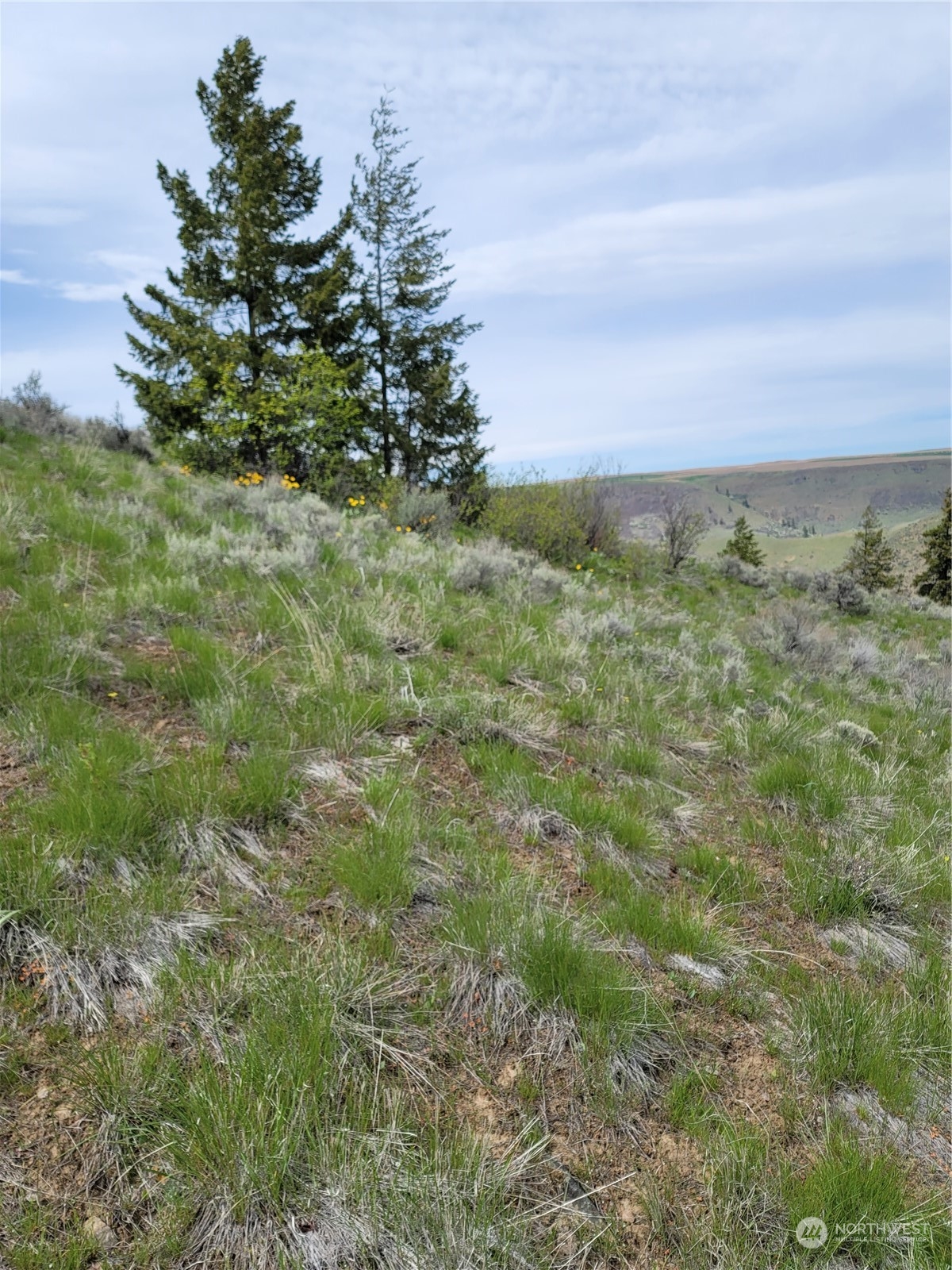 98 Tyee View Loop Rd Property Photo 12