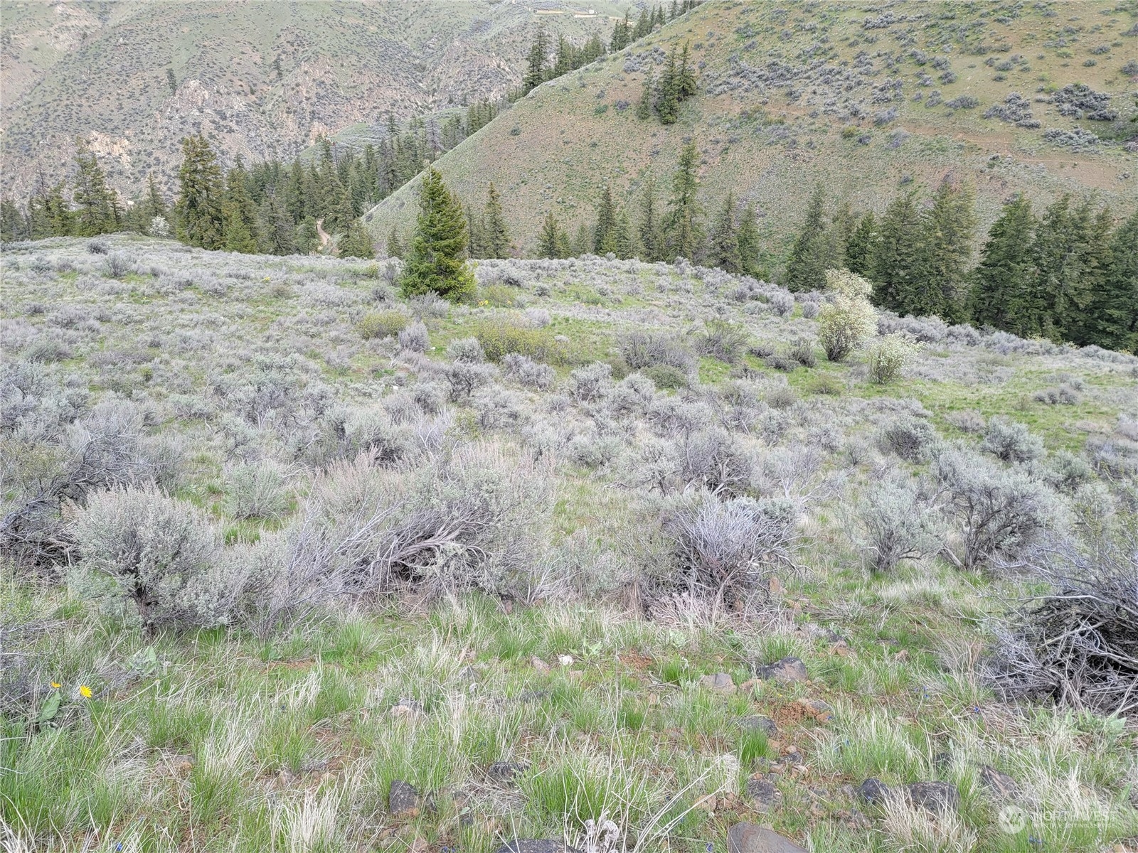 98 Tyee View Loop Rd Property Photo 13