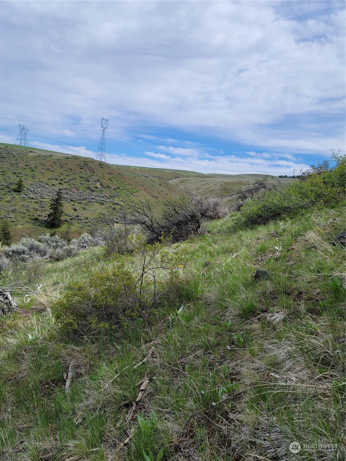 98 Tyee View Loop Rd Property Photo 15