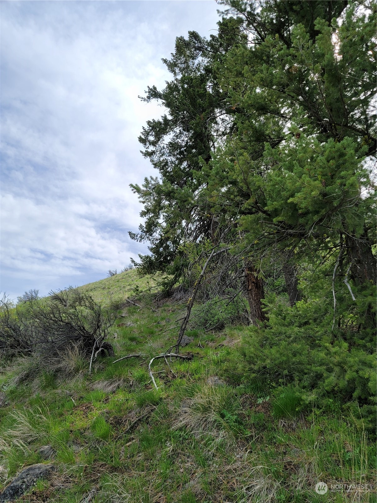 98 Tyee View Loop Rd Property Photo 17