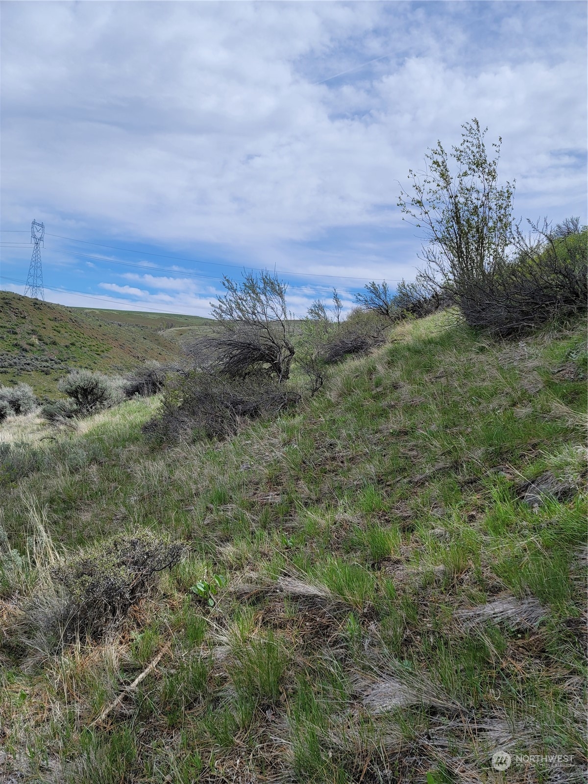 98 Tyee View Loop Rd Property Photo 18