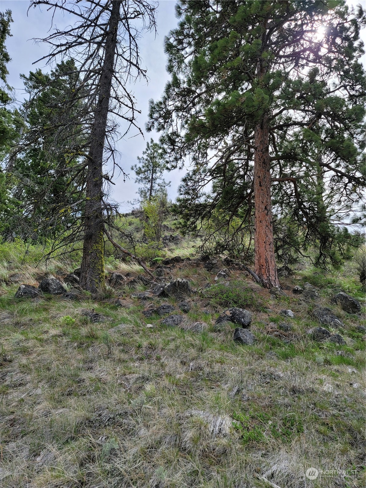 98 Tyee View Loop Rd Property Photo 19