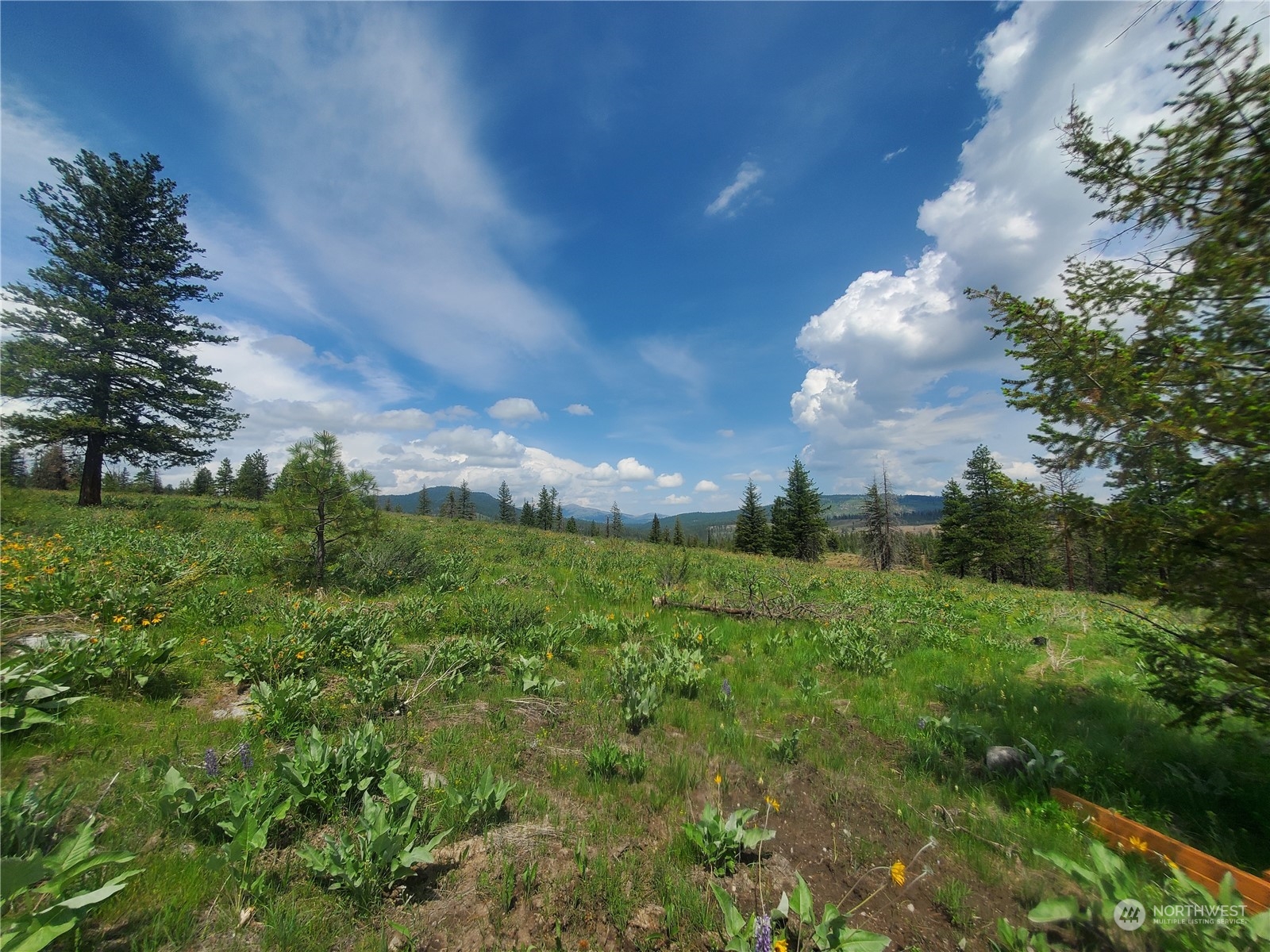 0 Tbd Landers Road Property Photo 1
