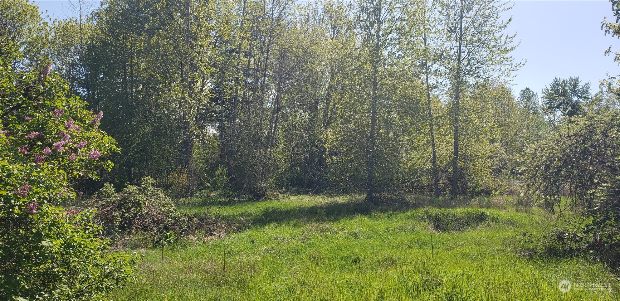 10010 219th Street Court Property Photo 4
