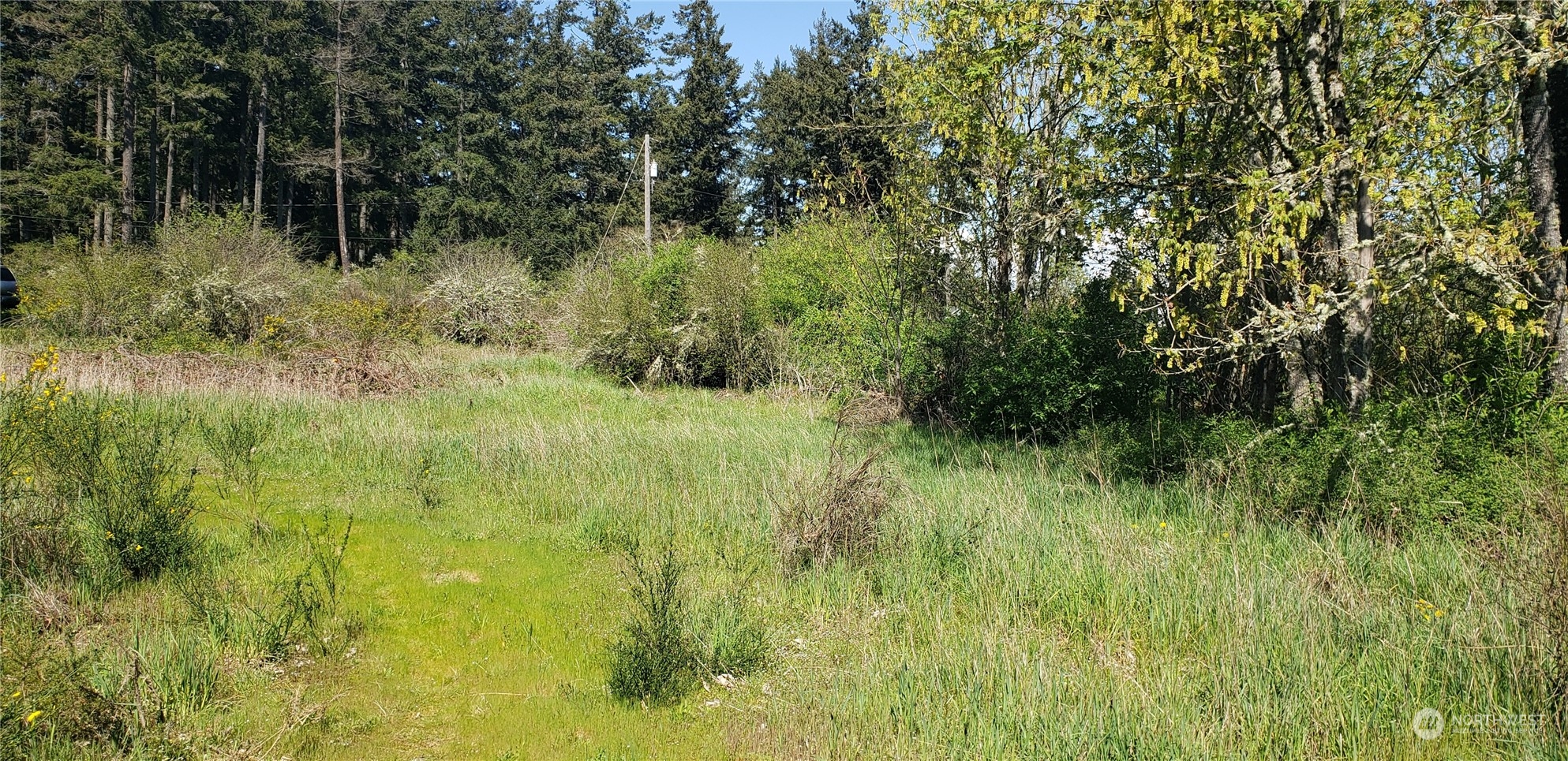 10010 219th Street Court Property Photo 8