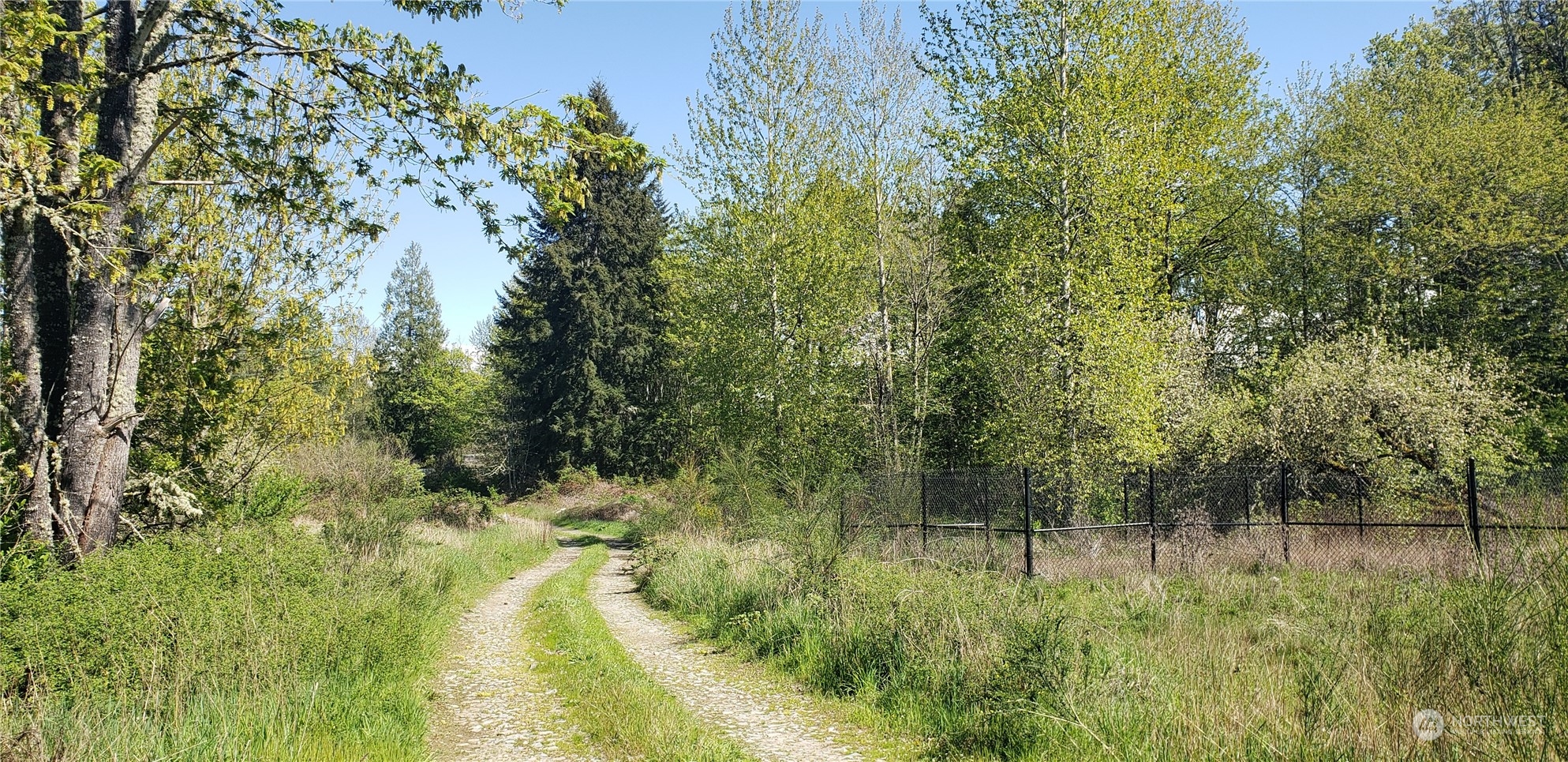10010 219th Street Court Property Photo 11