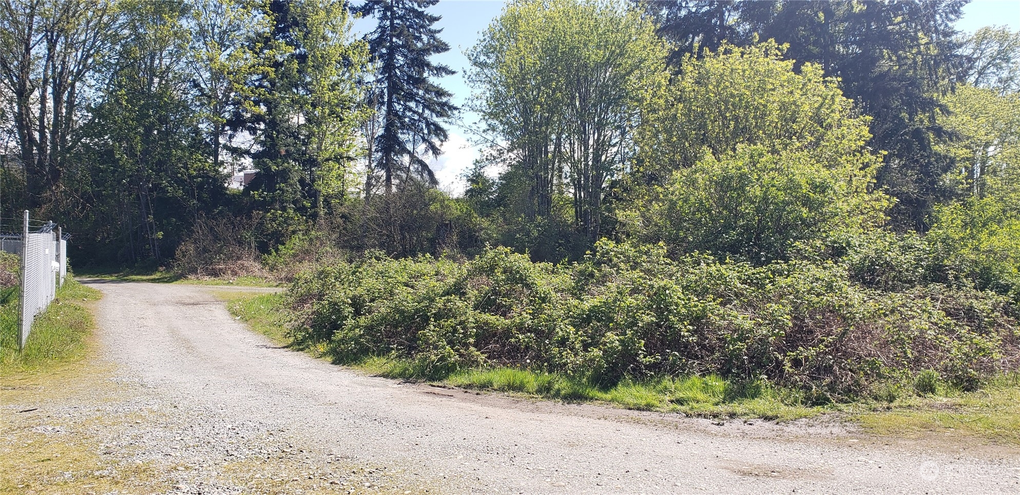 10010 219th Street Court Property Photo 17
