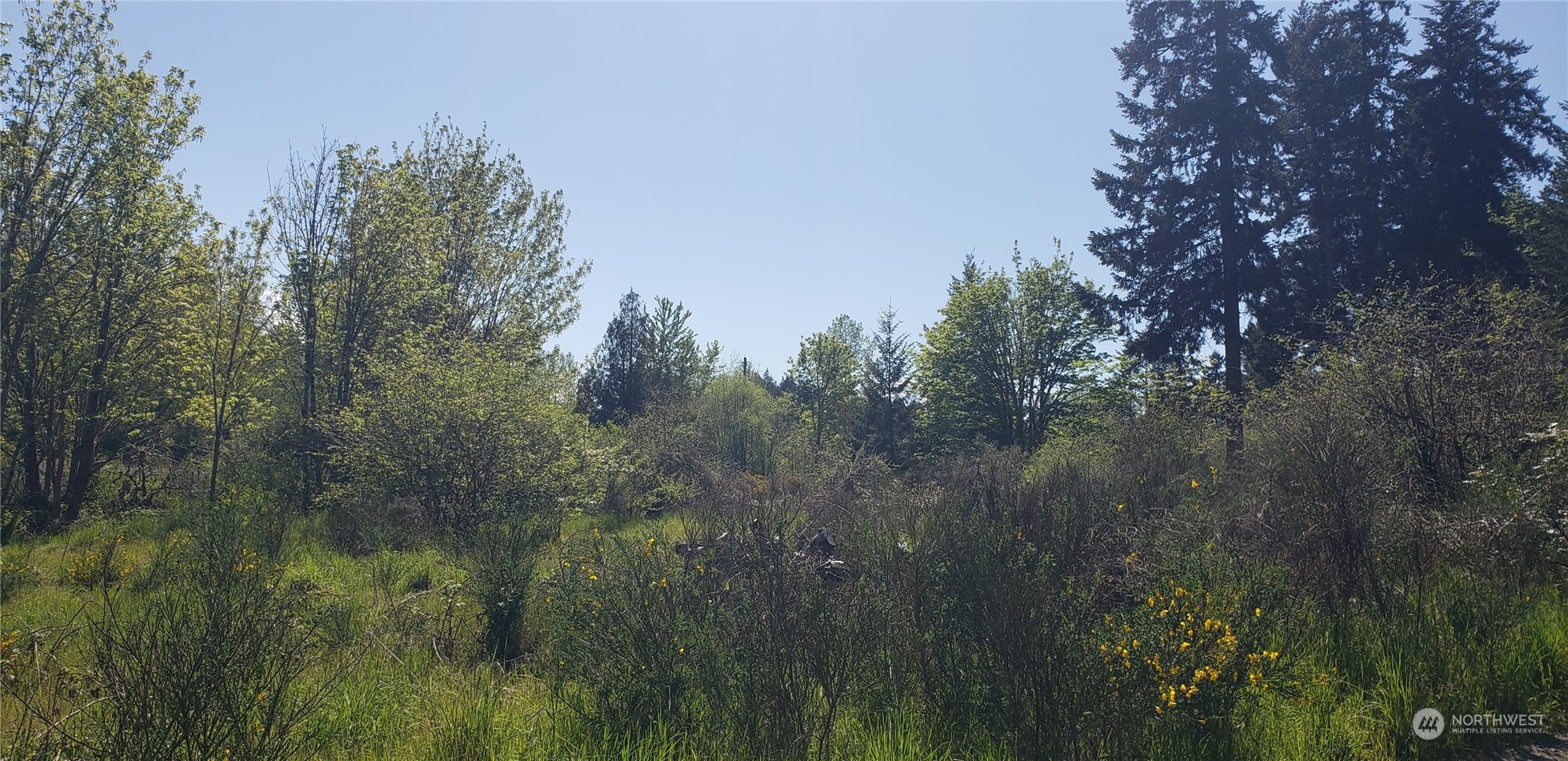 10010 219th Street Court Property Photo 22