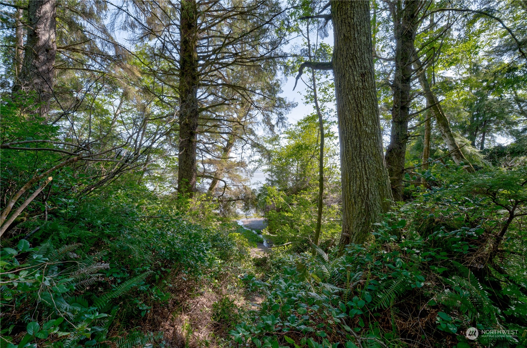 6265 State Rt 101 Property Photo 5