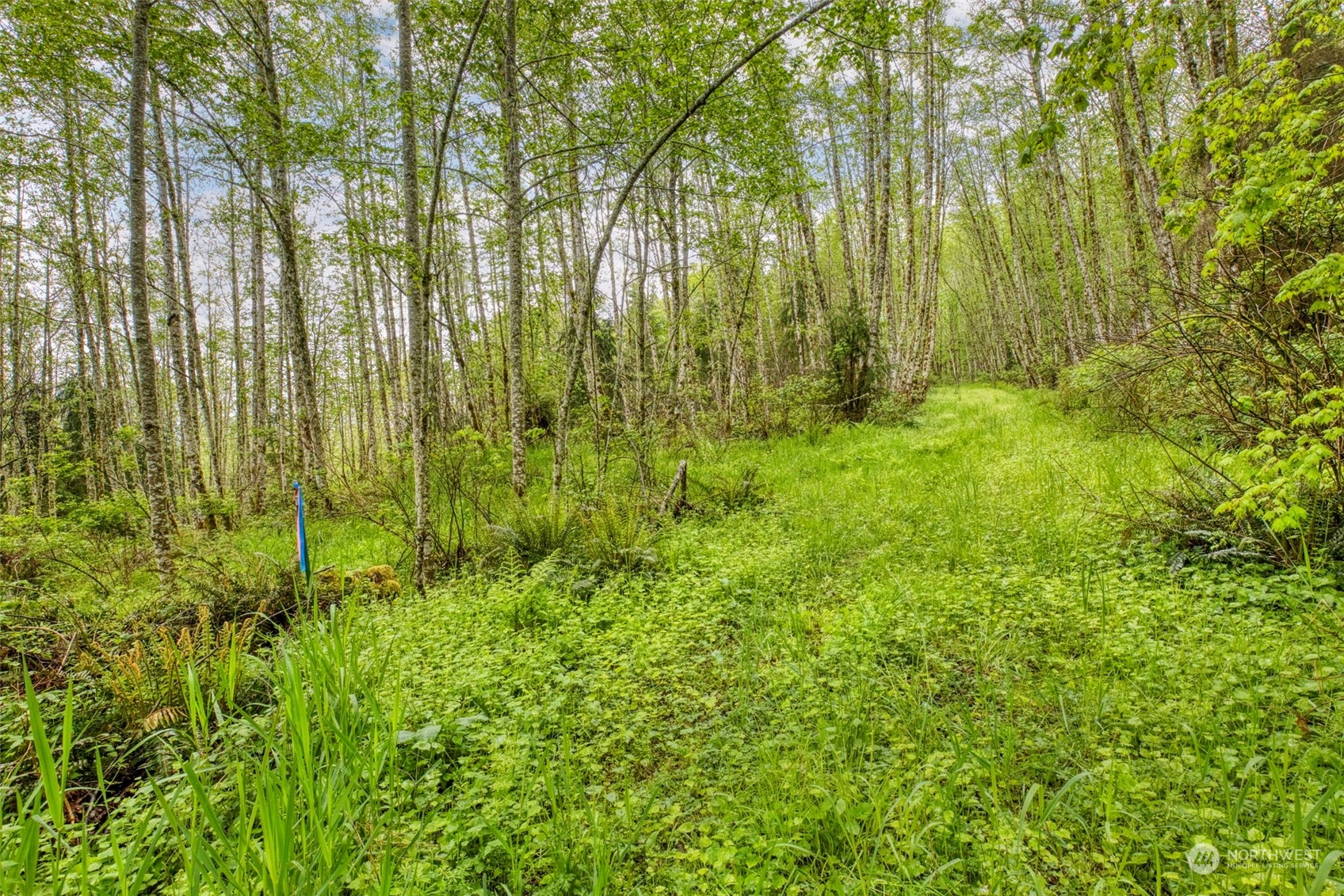 0 Elkhorn Lane Property Photo 15