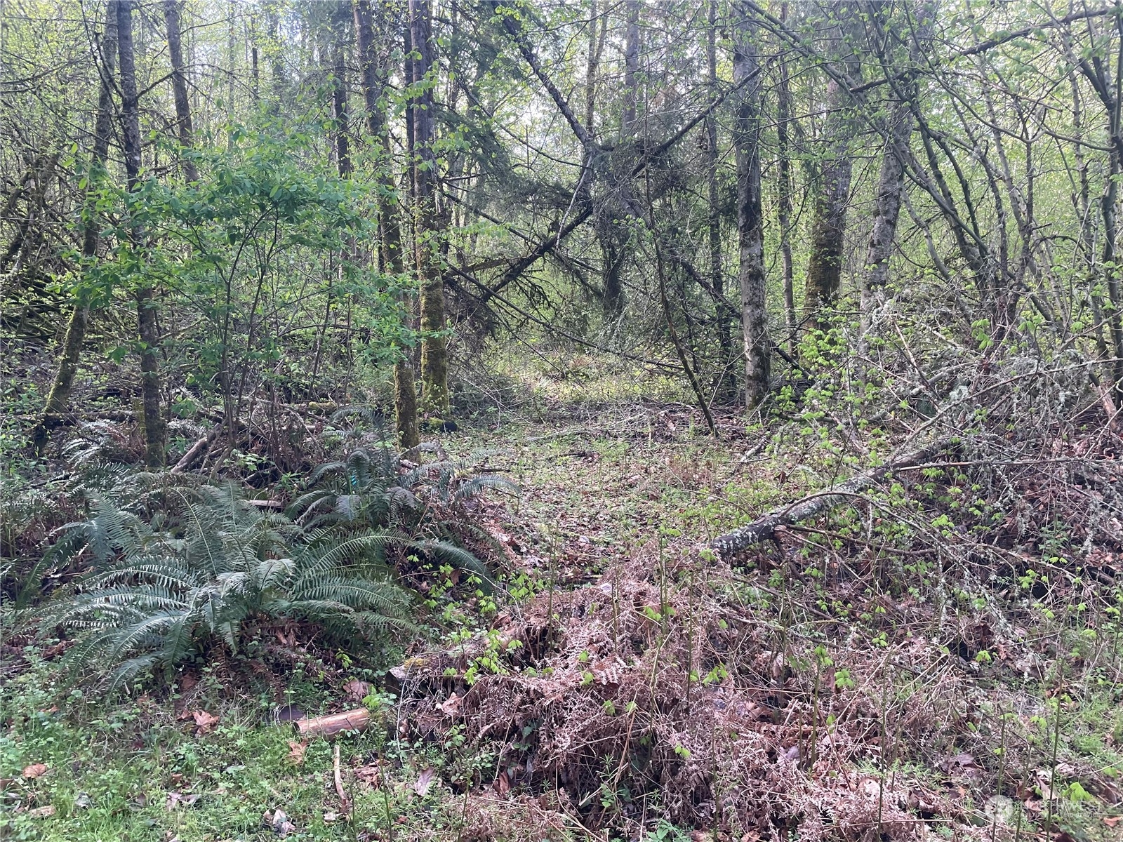 21721 Orville Road Property Photo 6