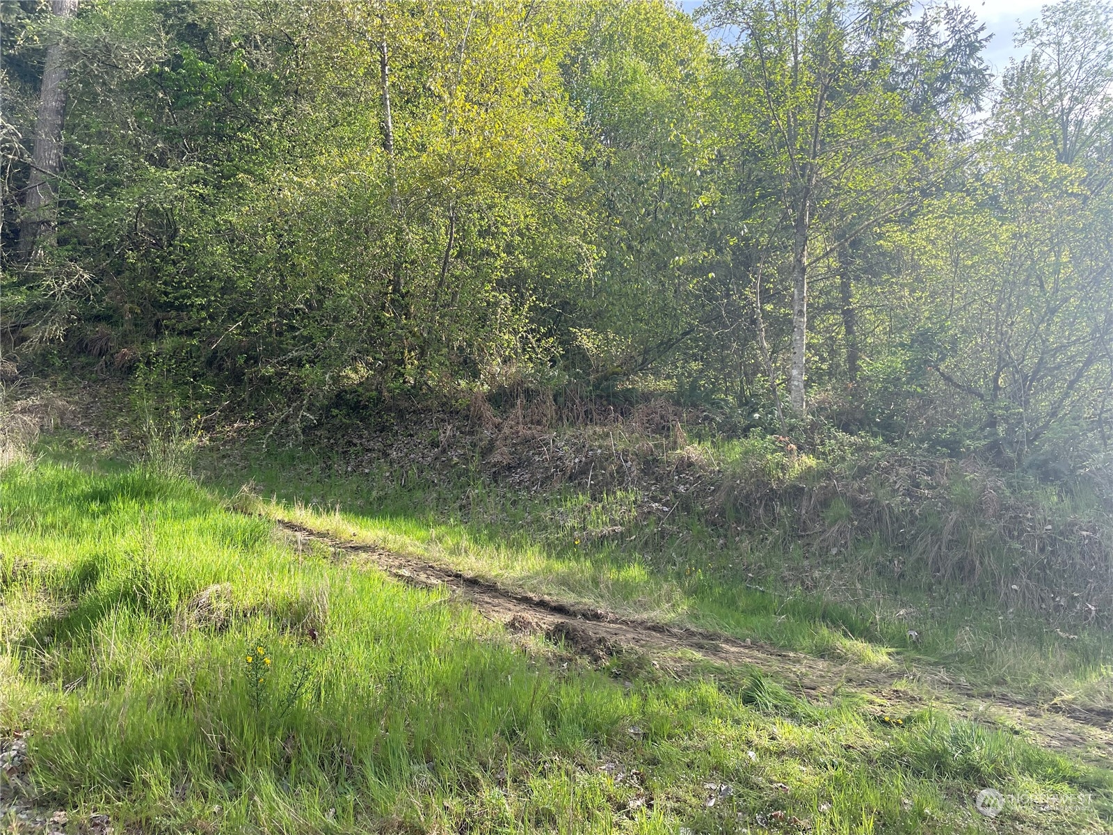 21635 Orville Road Property Photo 13