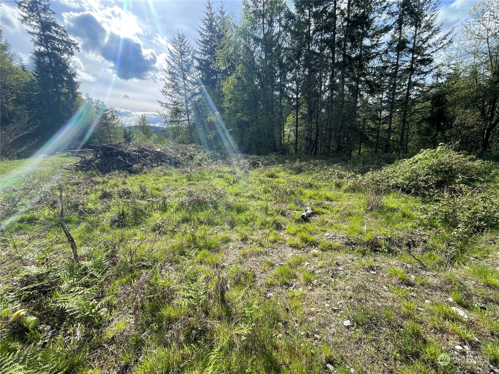 21635 Orville Road Property Photo 16