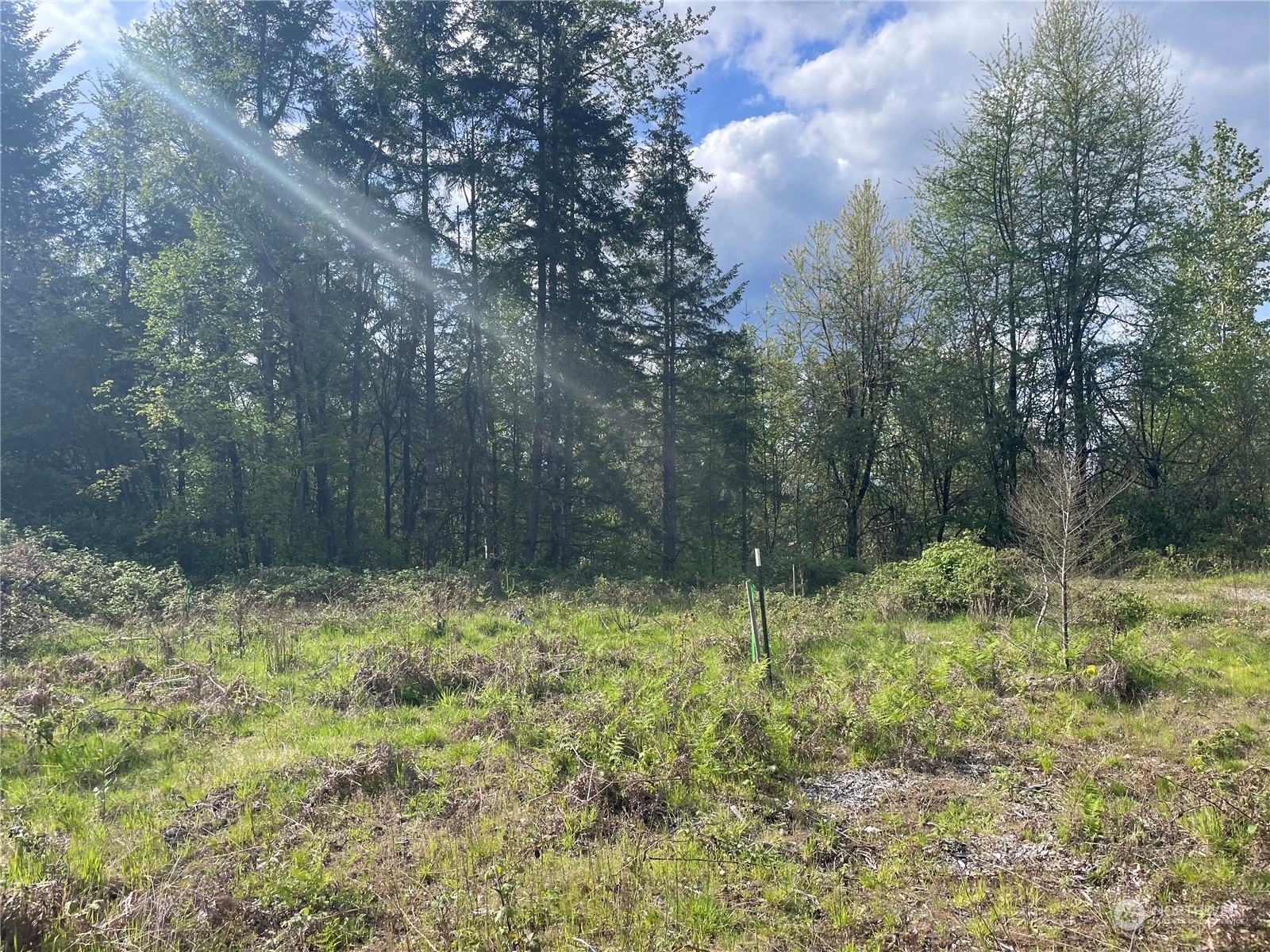 21635 Orville Road Property Photo 25