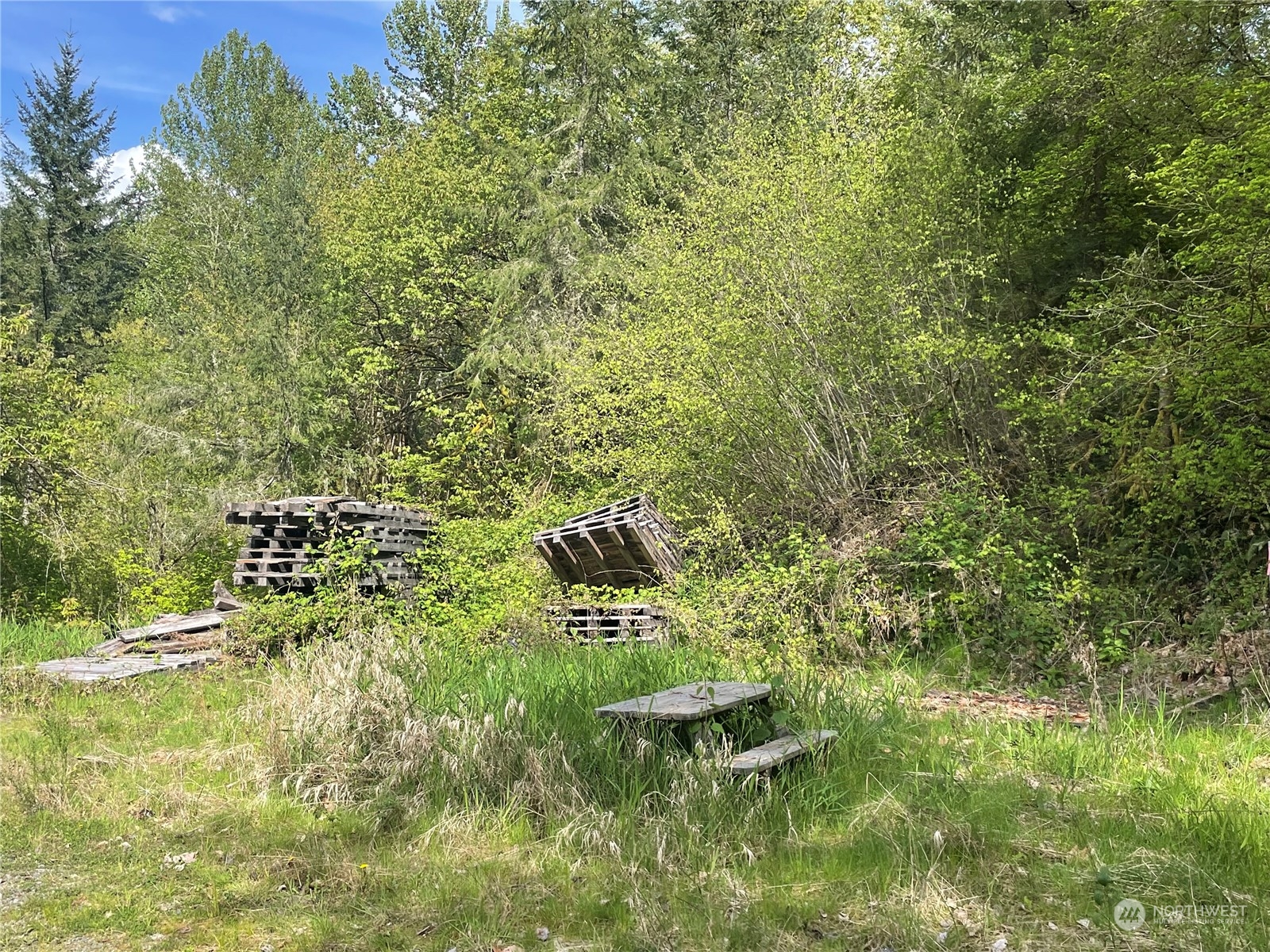 21635 Orville Road Property Photo 26