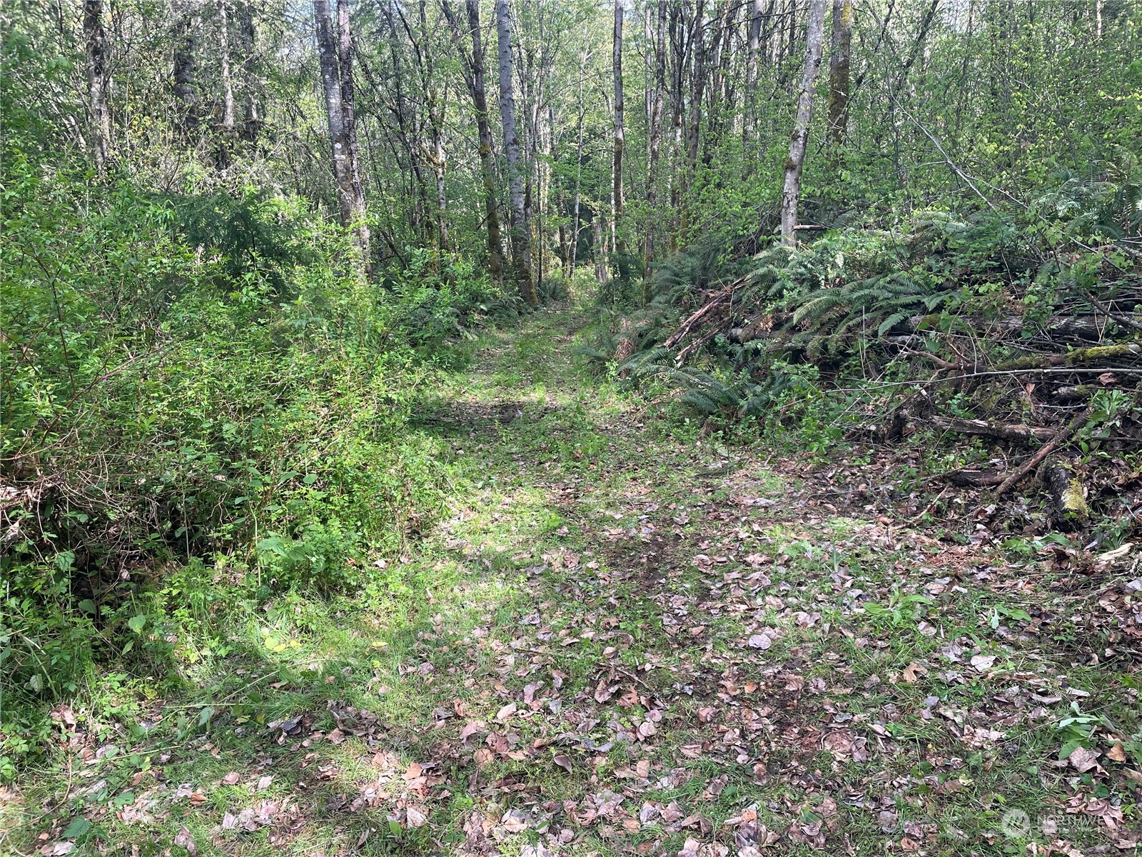 21635 Orville Road Property Photo 29