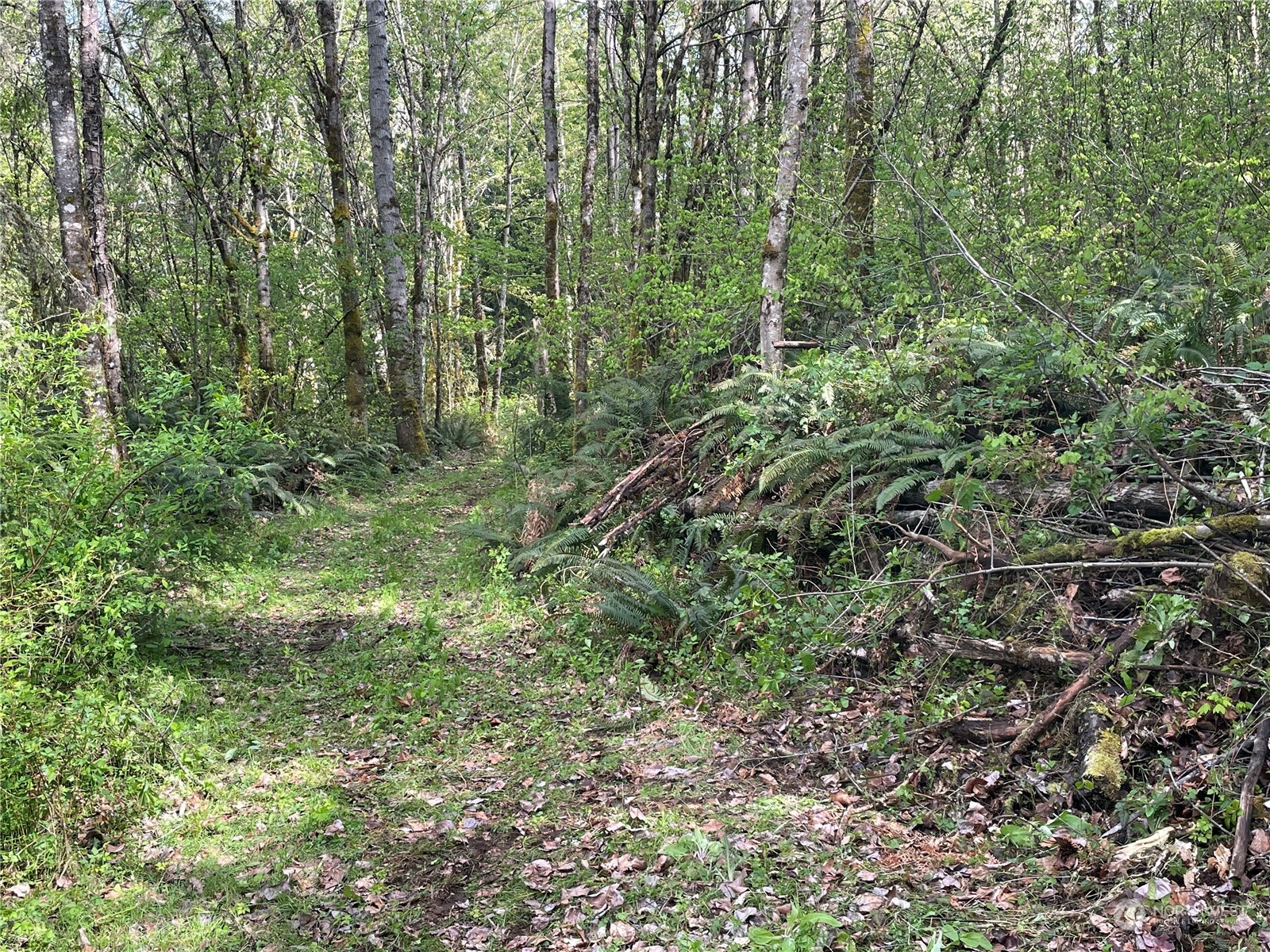 21635 Orville Road Property Photo 30