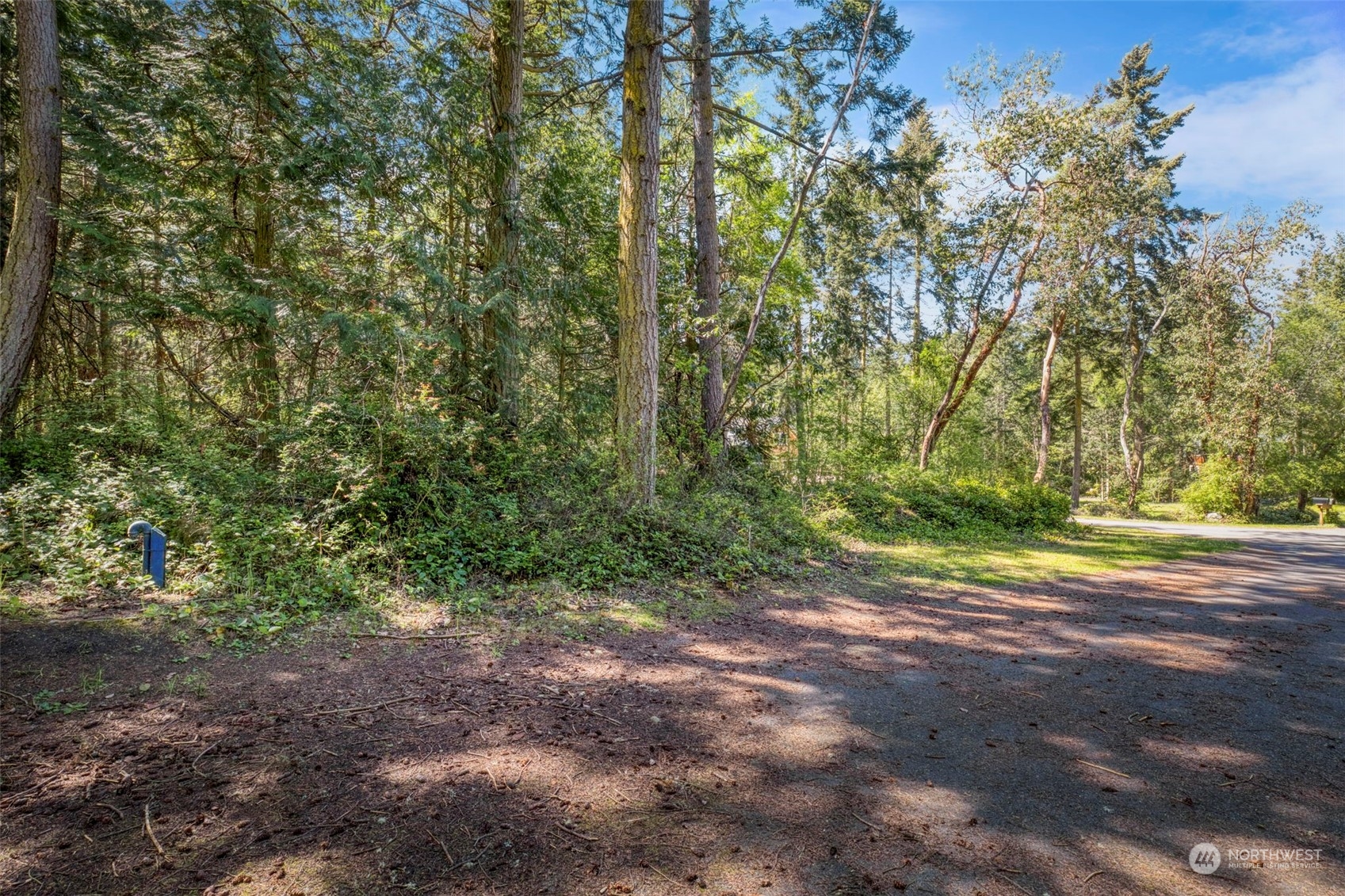 0 Grant Street Lot 3&4 Property Photo 5
