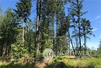 21700 70th Avenue Property Photo 2
