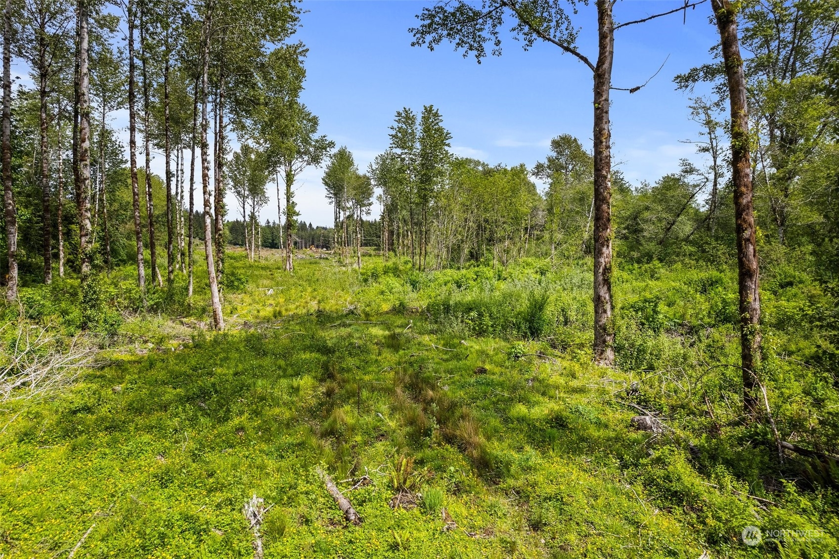 30 Joy Lane Lot 3 Property Photo 11