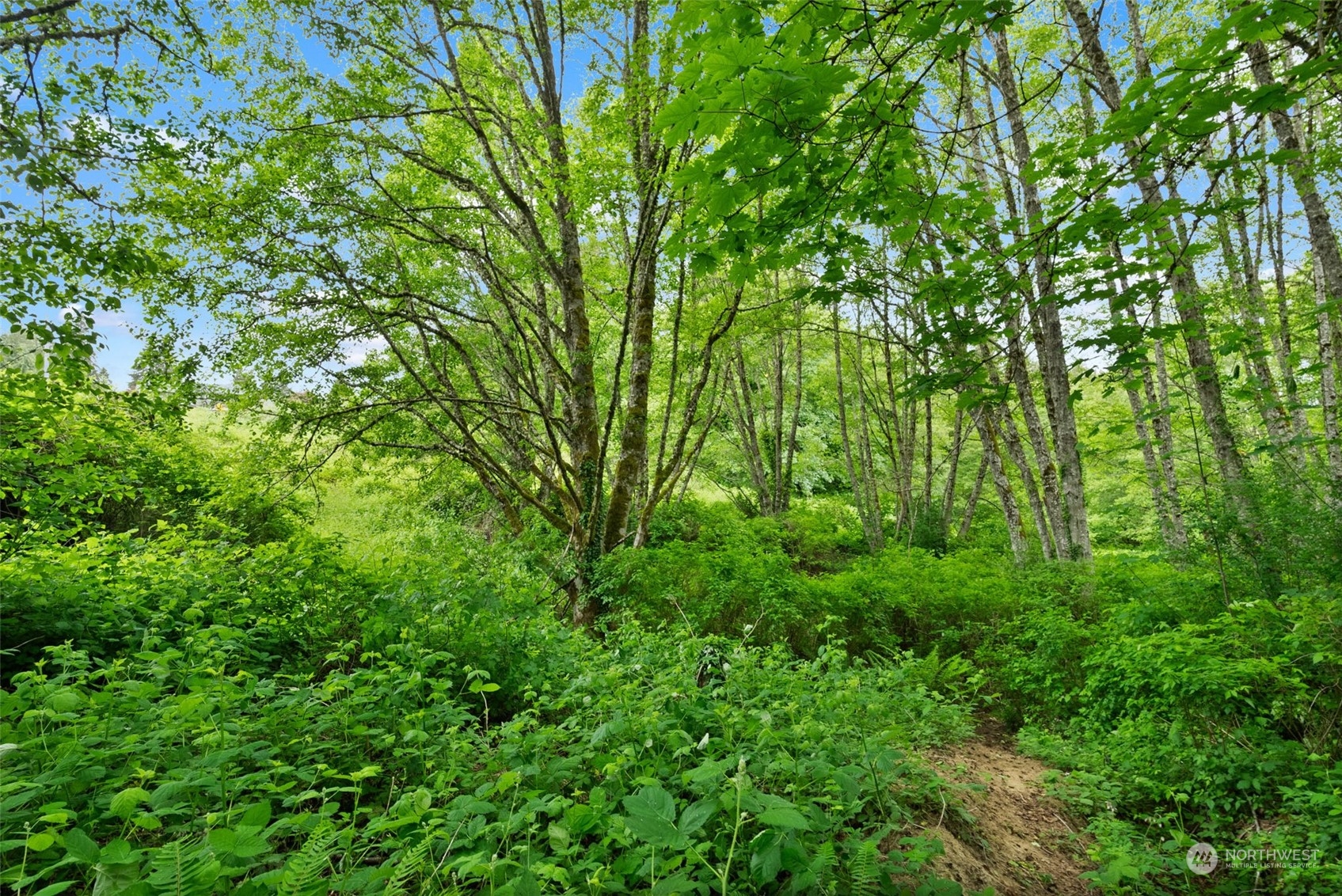 3922 Bethel Road Property Photo 12