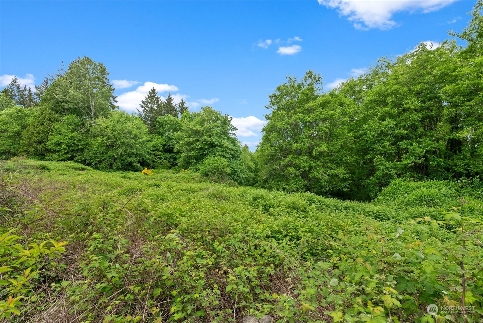 3922 Bethel Road Property Photo 15