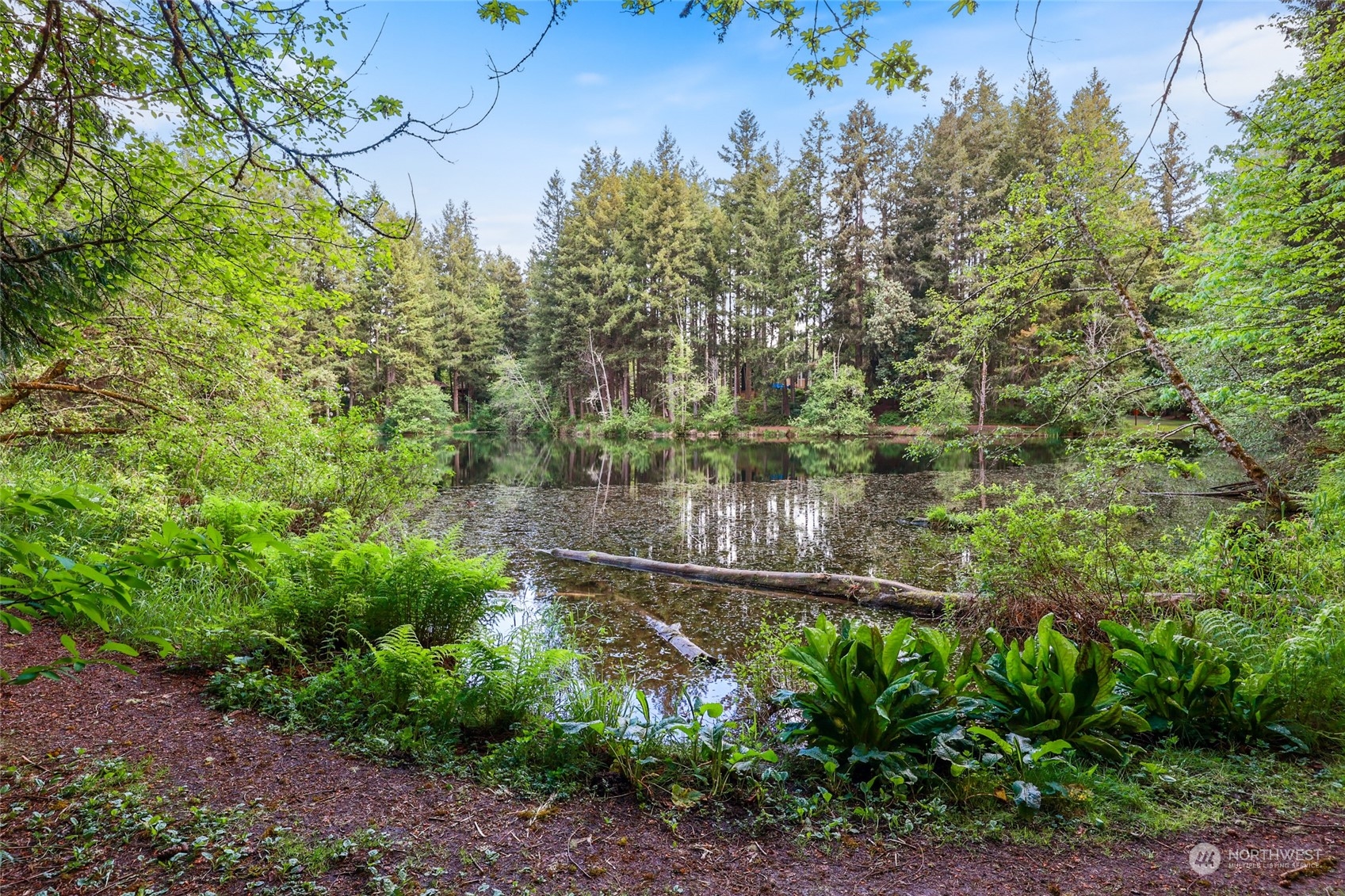 22206 Bluewater Court Property Photo 14