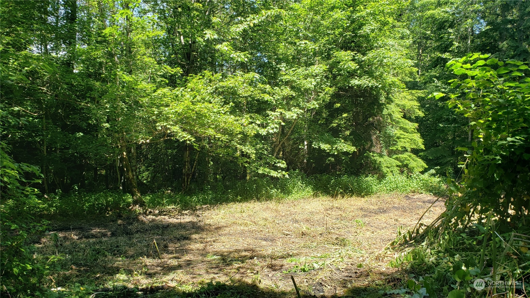 325 Xx Se 341st Street Property Photo 7