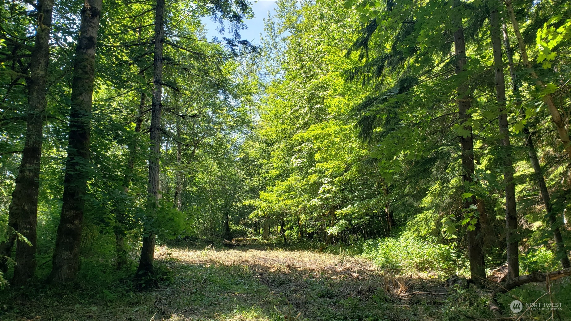 325 Xx Se 341st Street Property Photo 19