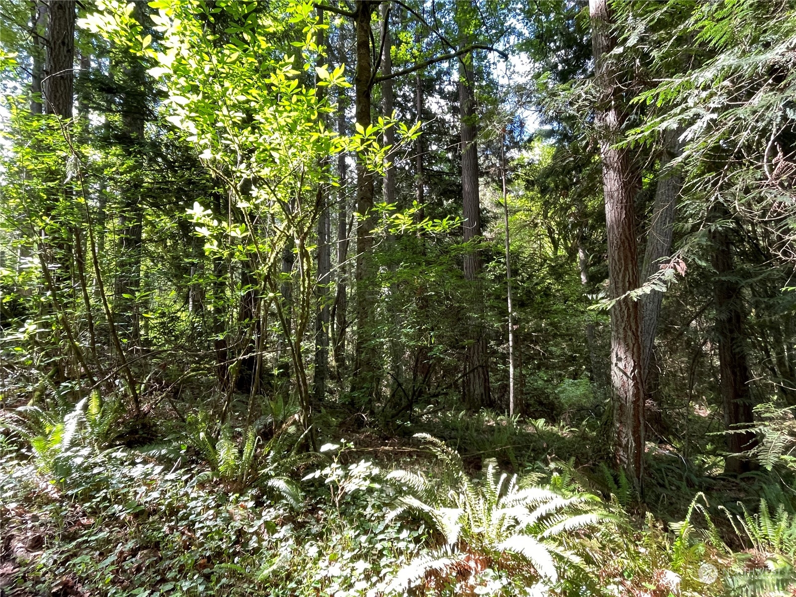 0 Lot 2 Ne Sanwick Place Property Photo 3