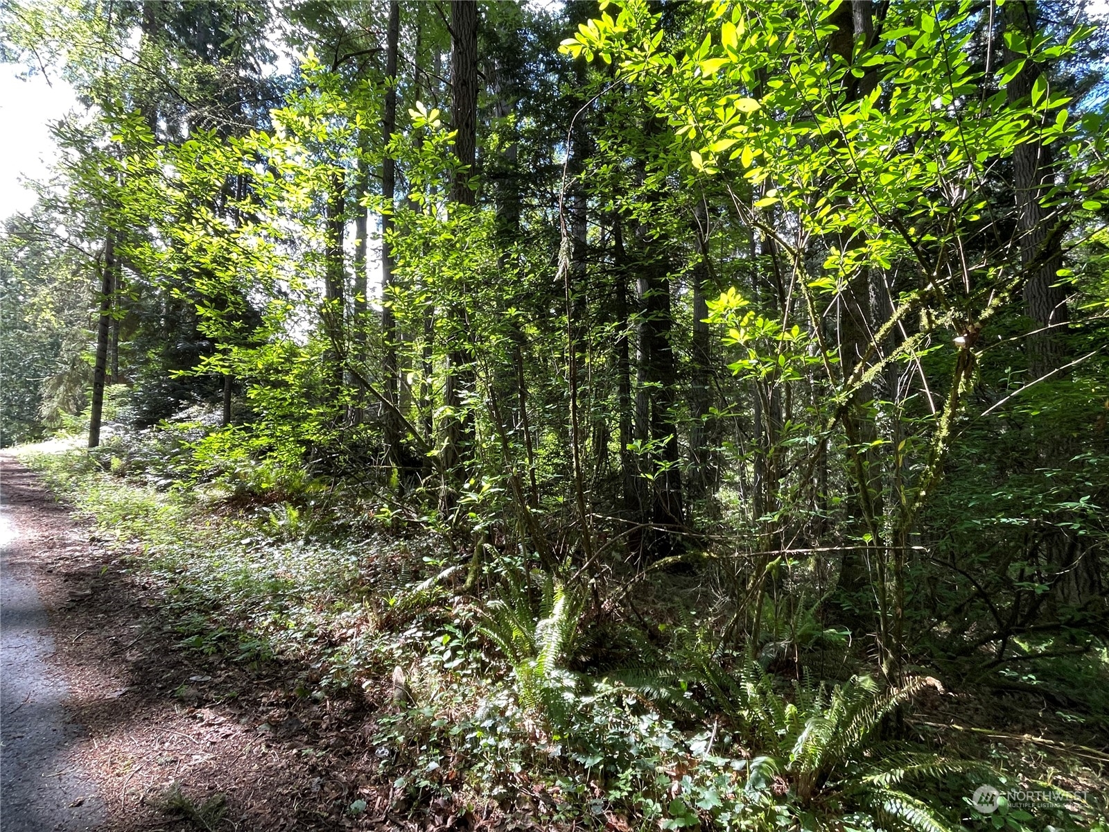 0 Lot 2 Ne Sanwick Place Property Photo 4