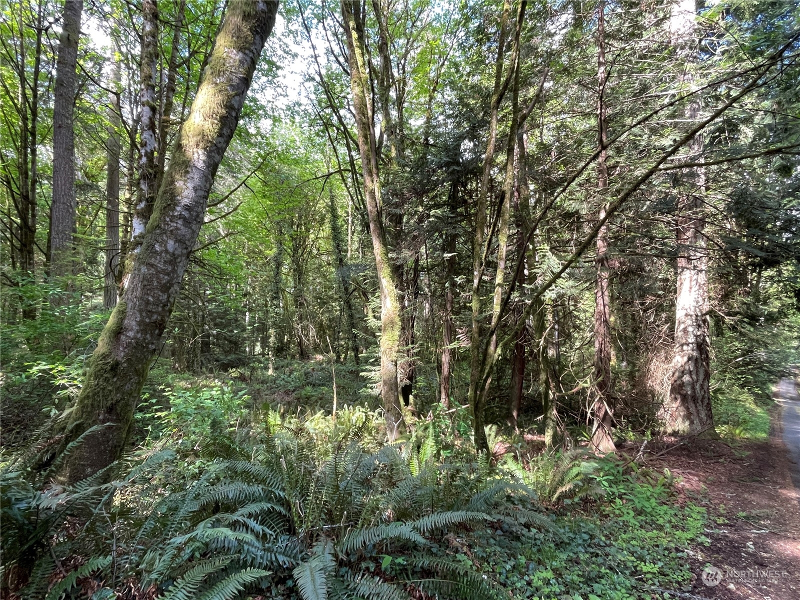 0 Lot 3 Ne Sanwick Place Property Photo 3