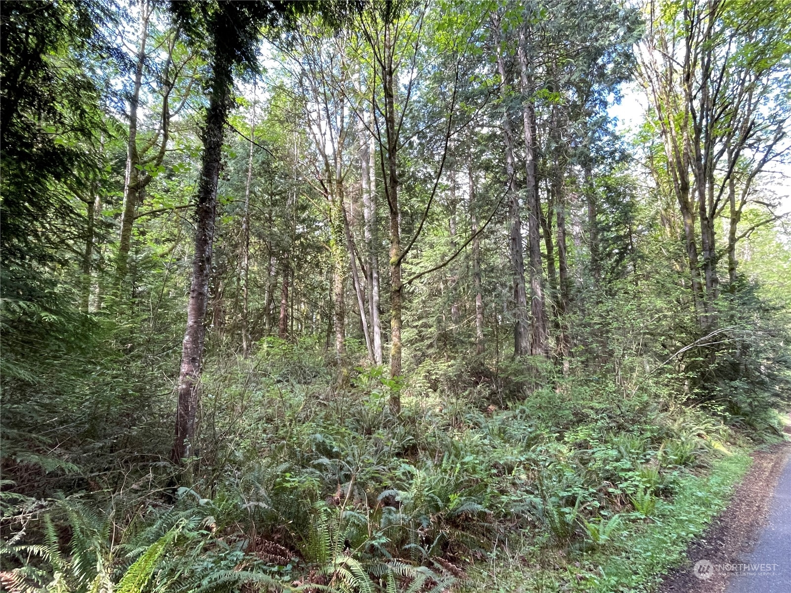 0 Lot 4 Ne Sanwick Place Property Photo 4