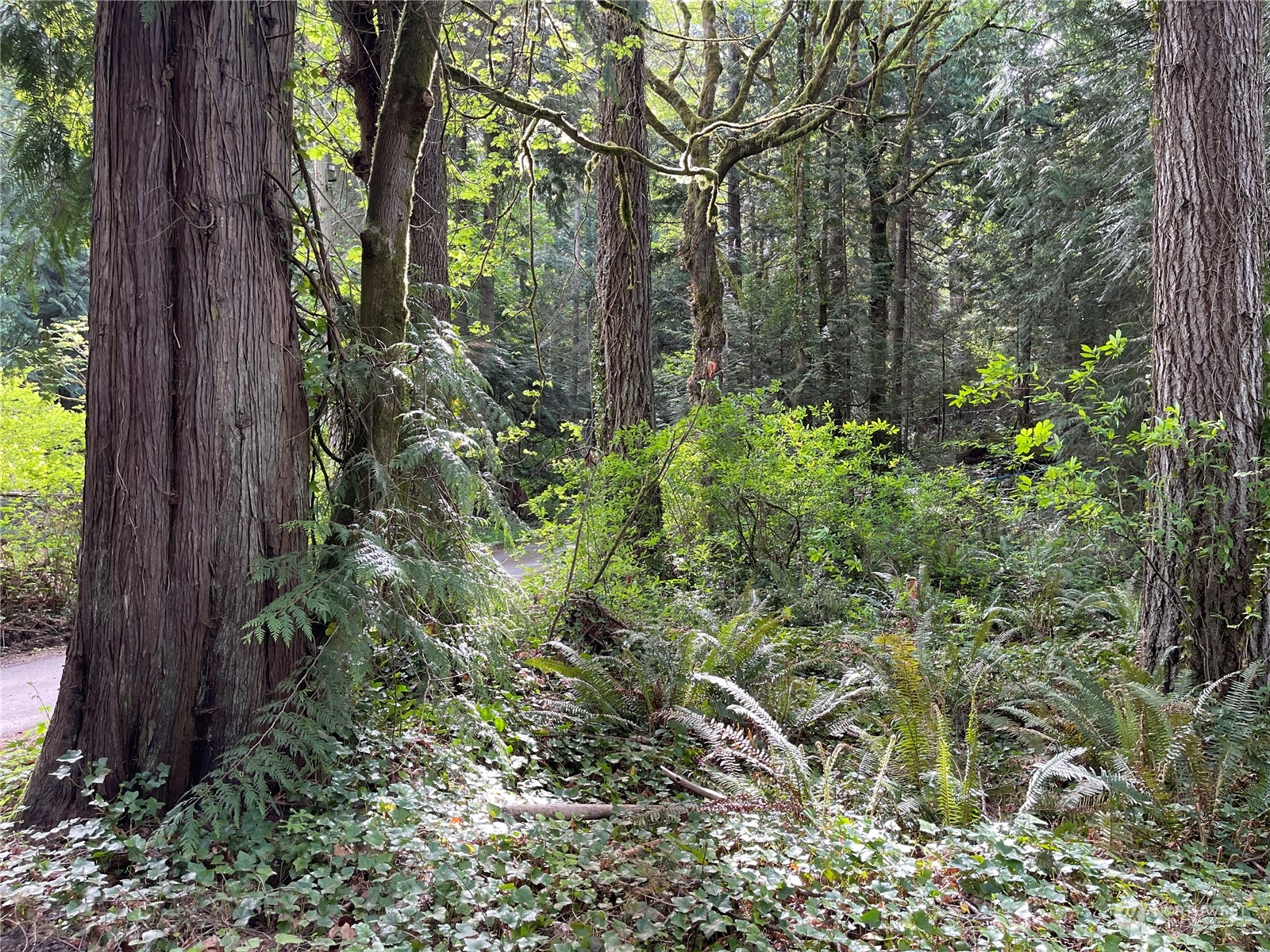 0 Lot 7 Ne Sanwick Place Property Photo 3