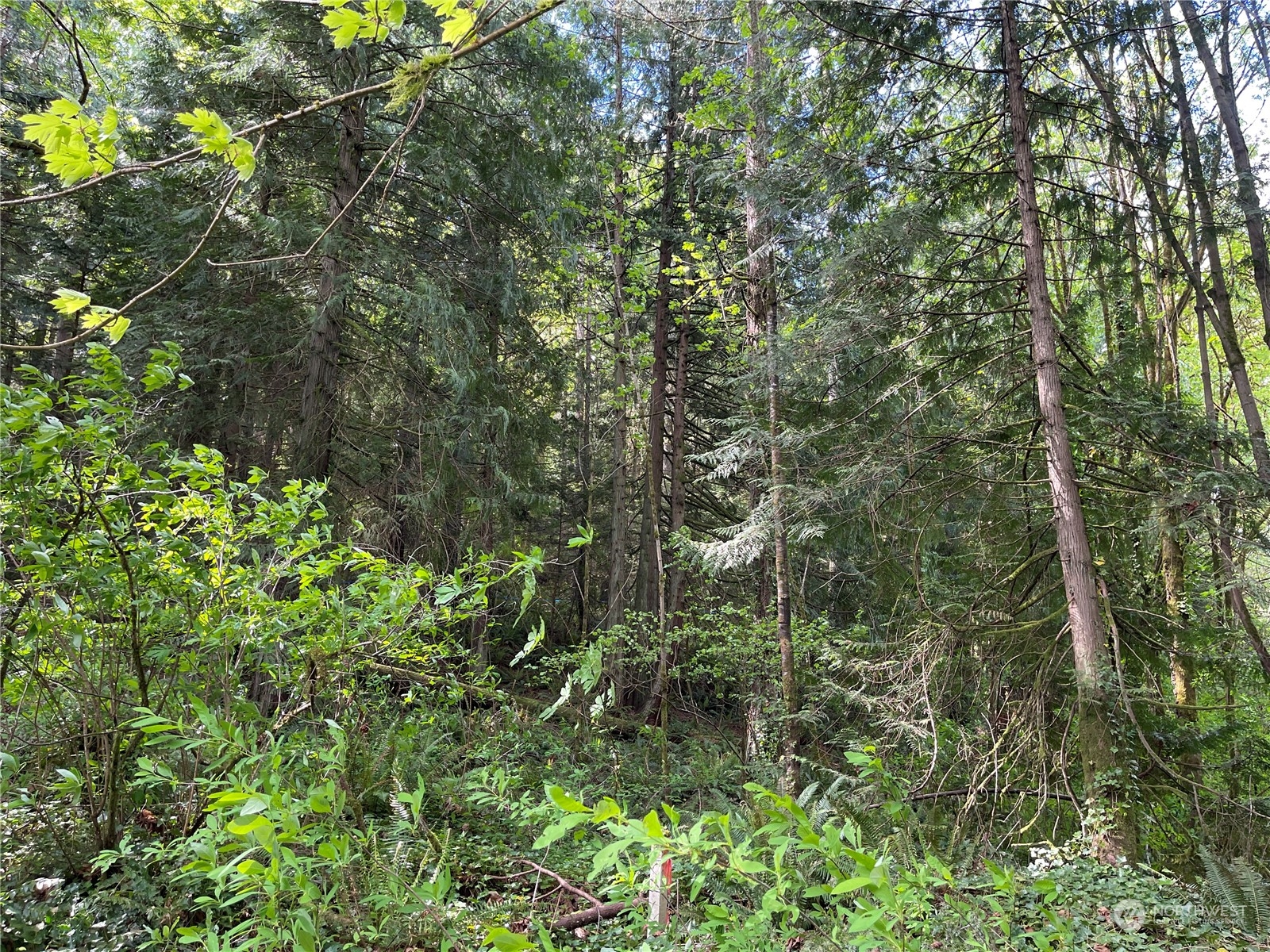 0 Lot 7 Ne Sanwick Place Property Photo 4