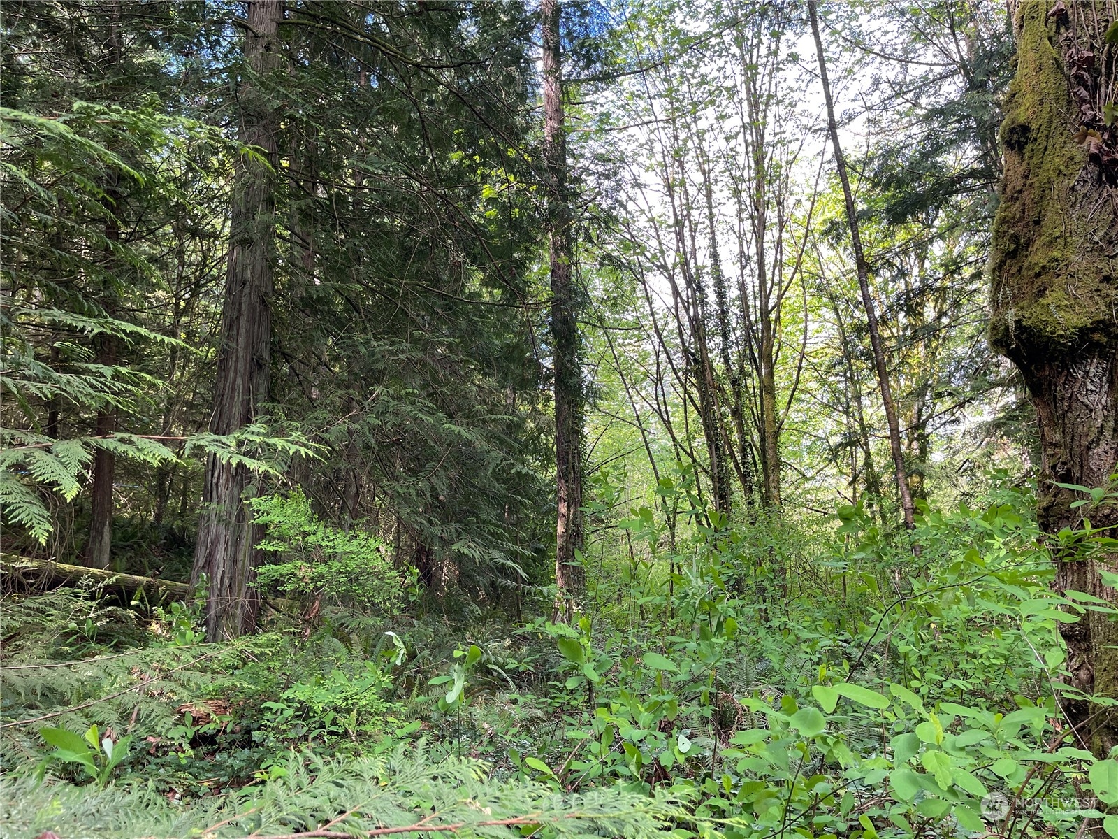 0 Lot 7 Ne Sanwick Place Property Photo 5