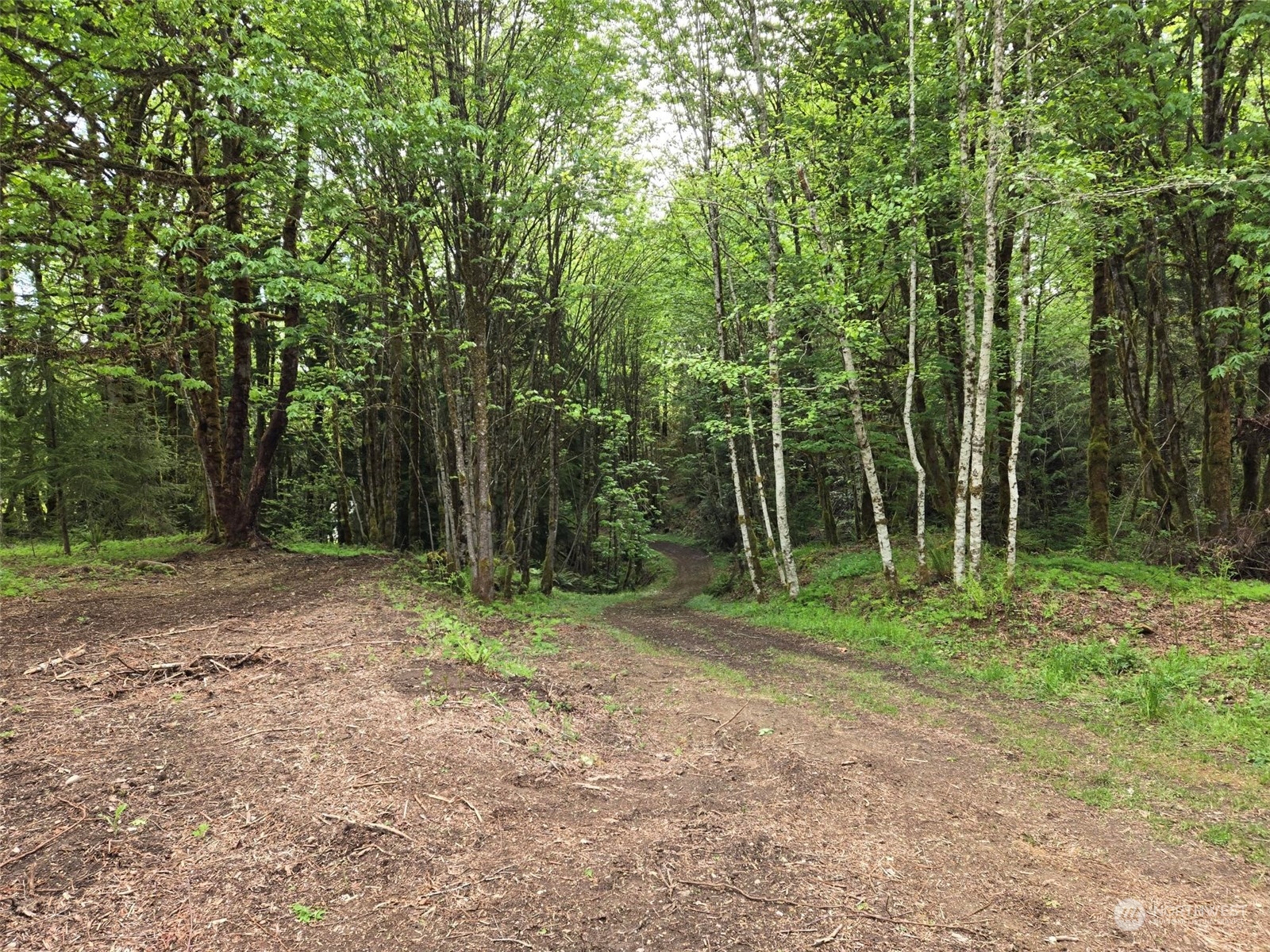 961 E Rasor Road Property Photo 2
