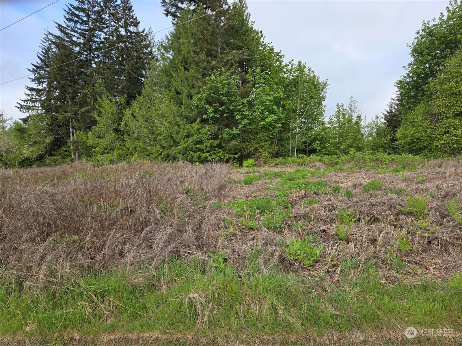 961 E Rasor Road Property Photo 8