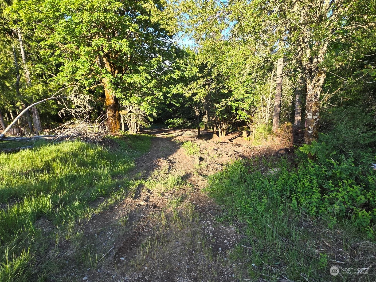 961 E Rasor Road Property Photo 12