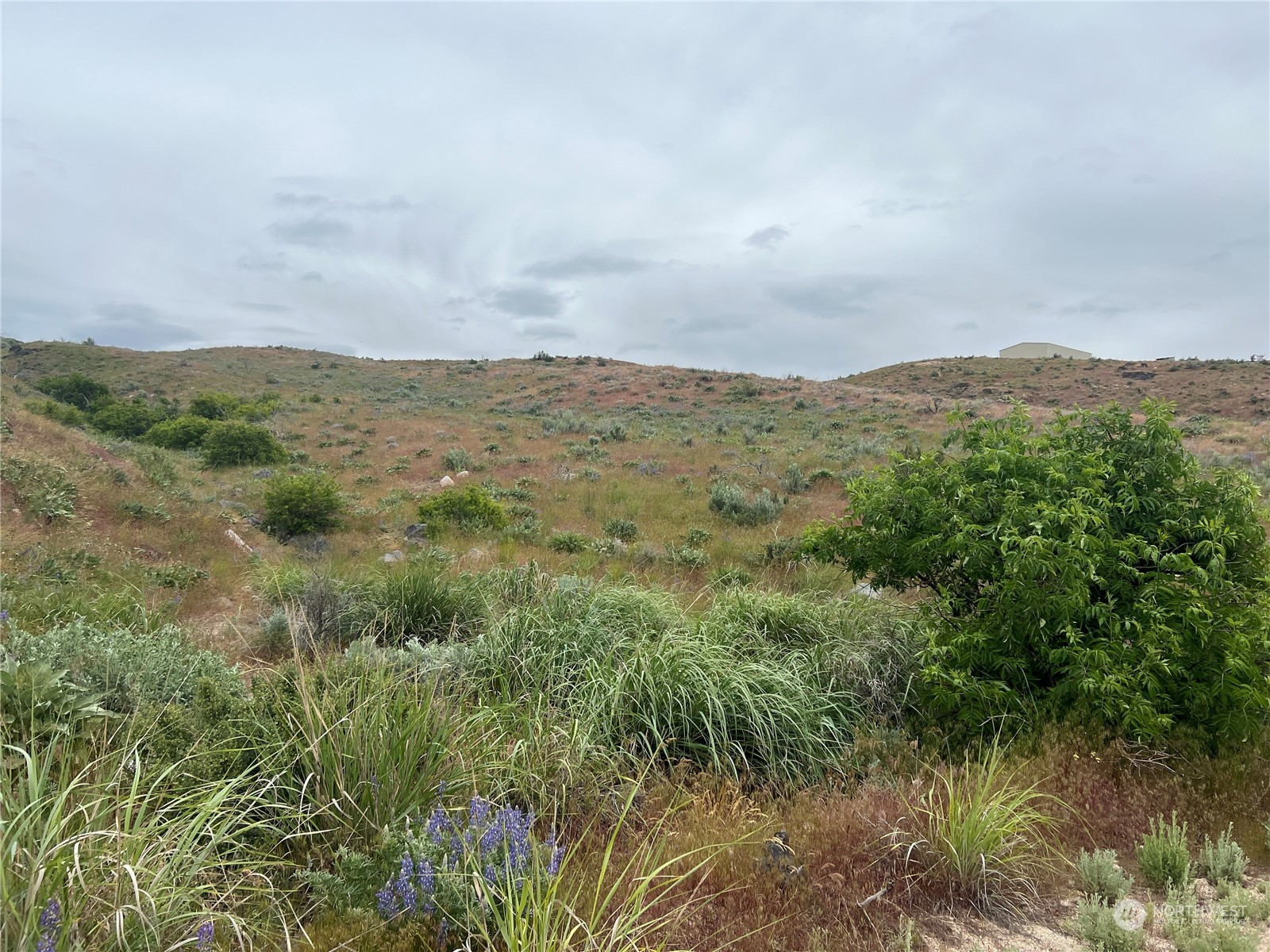 0 Nna Windmill Property Photo 2