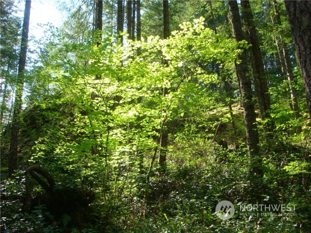 16 Ws1 Blk 3 Lot 16b Property Photo 1