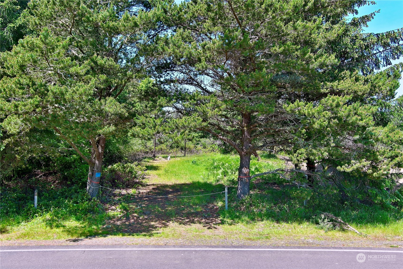 128 Polaris Boulevard Property Photo 1
