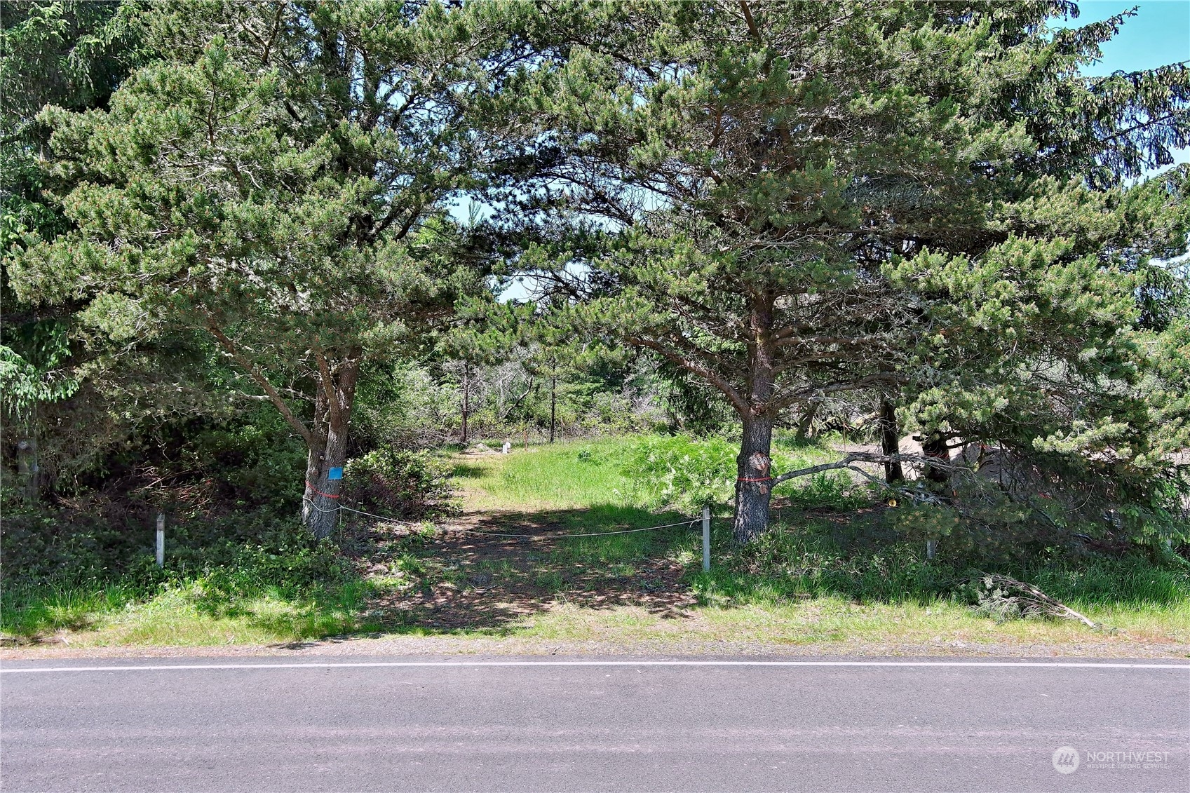 128 Polaris Boulevard Property Photo 30