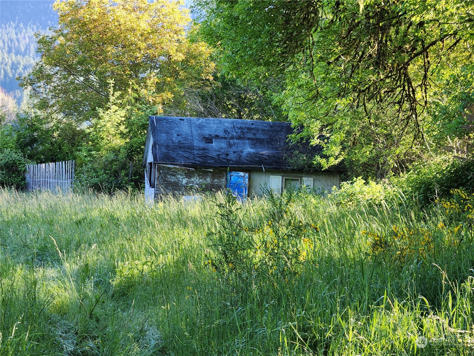 0 Us Hwy 12 Property Photo 5