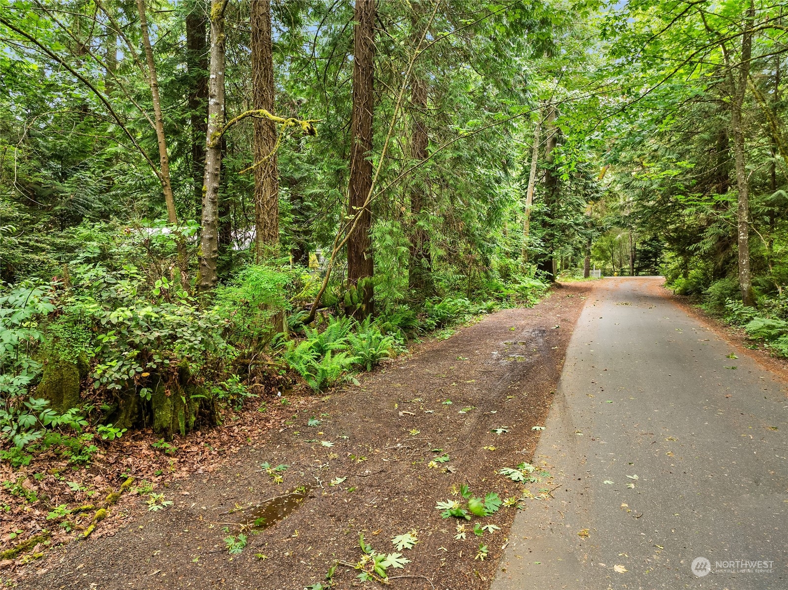 0 Ne Ocean (lot A) Drive Property Photo 10